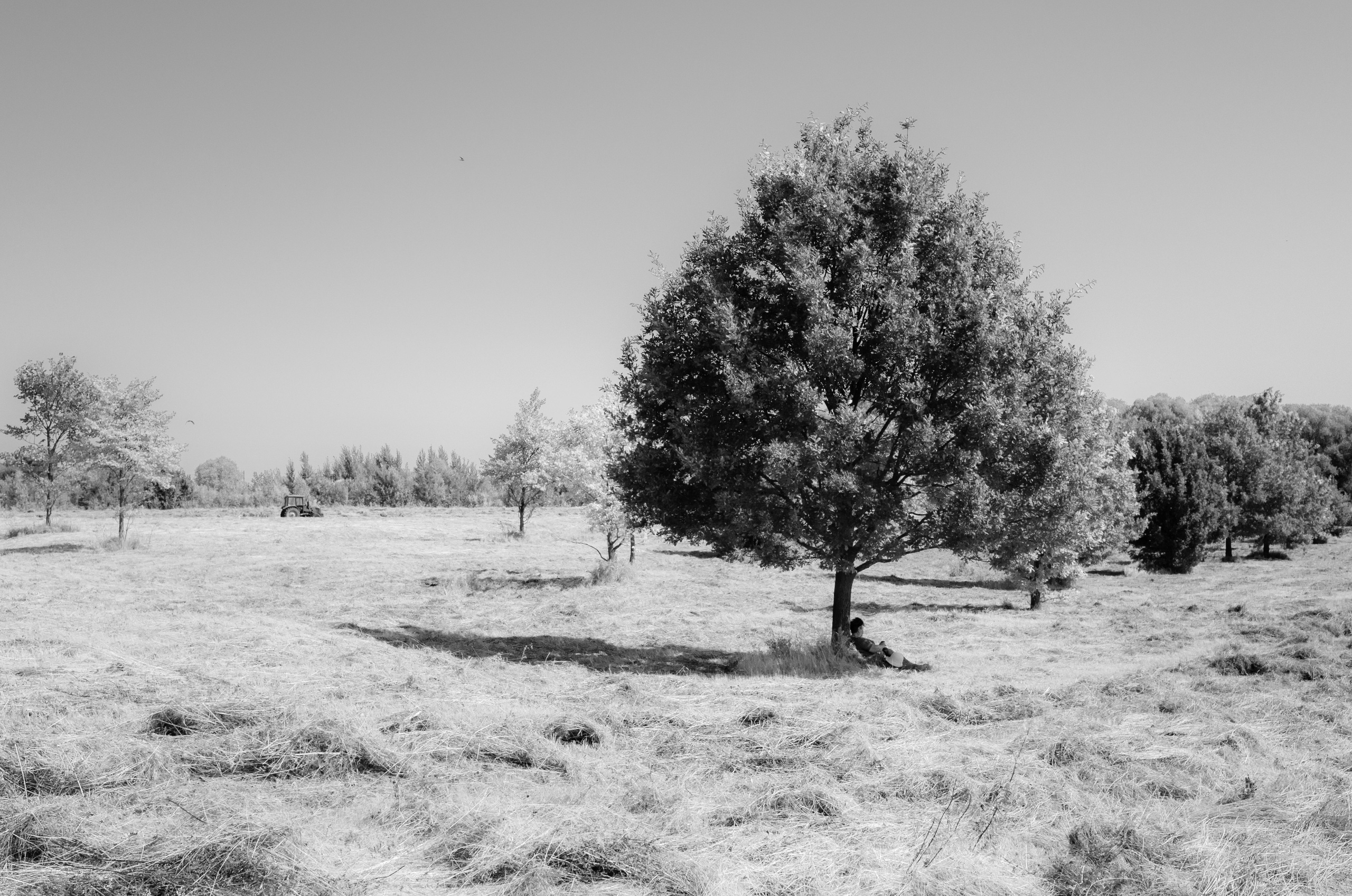 Интерьерные фотографии России. Фотографии Руслана Сайдалиева (Рус Сай)