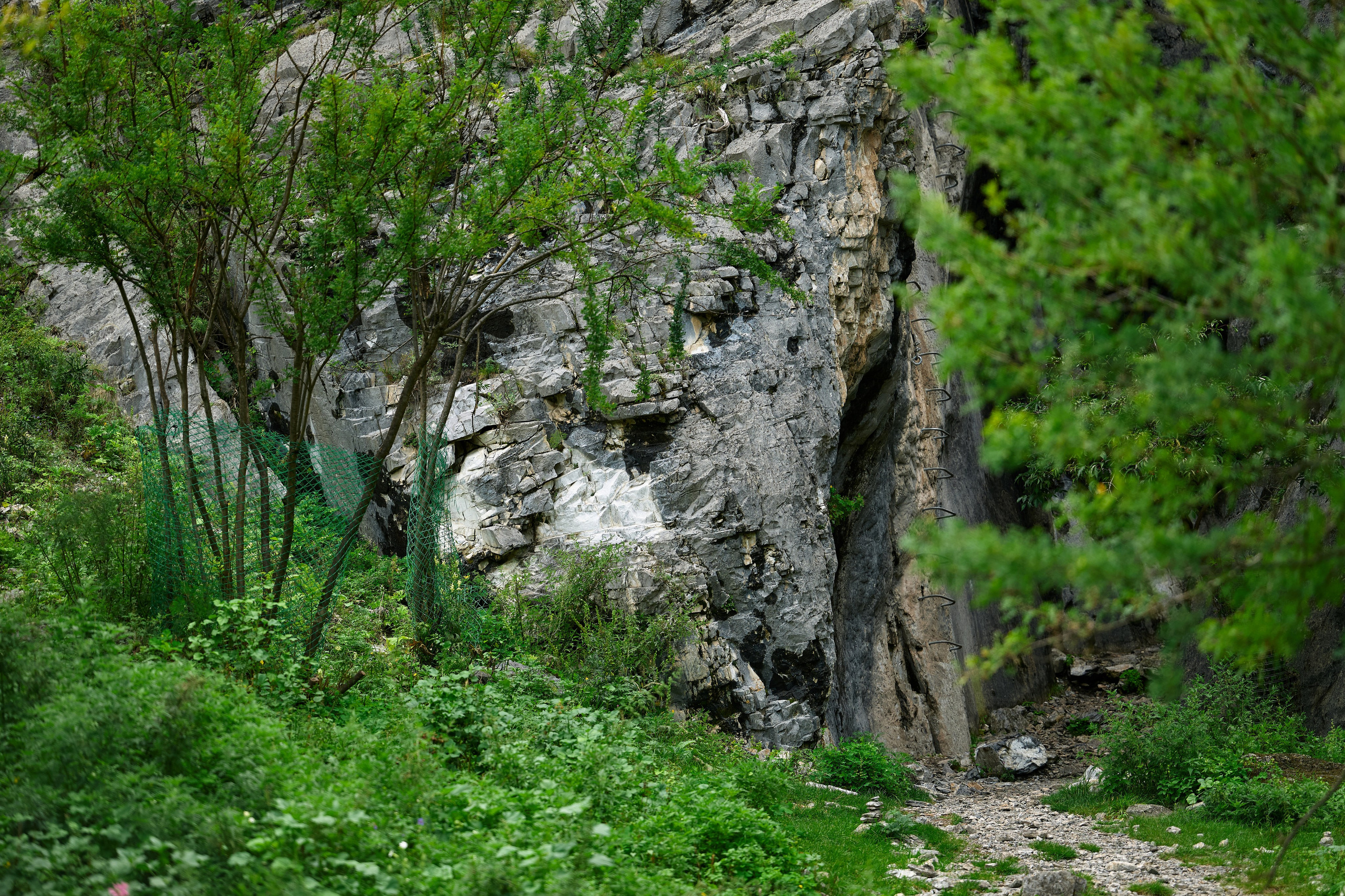 Пейзажный фотограф в Горном Алтае: съёмки природы и гор. Фотограф Опыт Качество Скорость Горный Алтай Барнаул