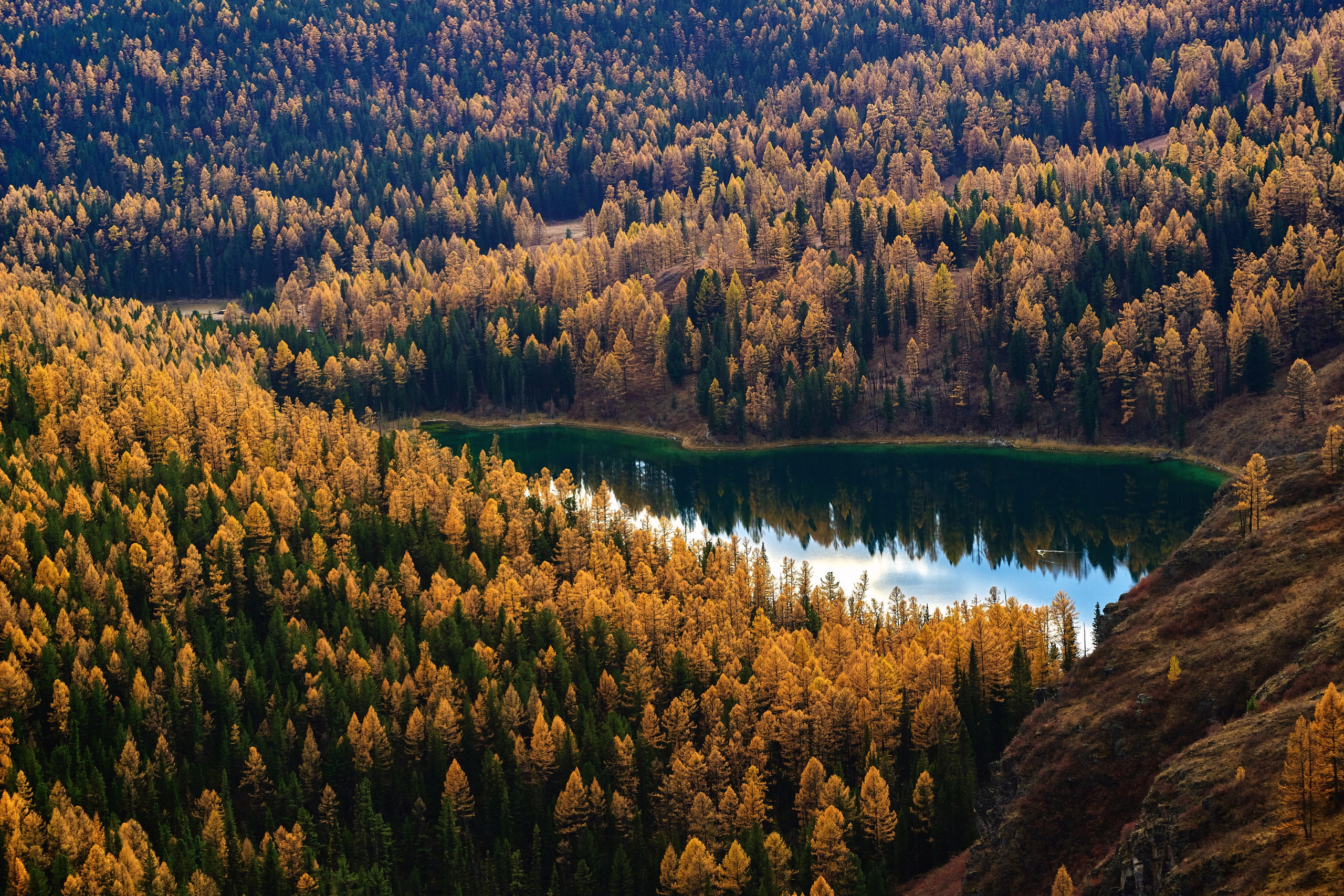 Осень — Сентябрь — Улаган — Курай, Кату-Ярык, Миандры, Хребет. Фотограф Опыт Качество Скорость Горный Алтай Барнаул