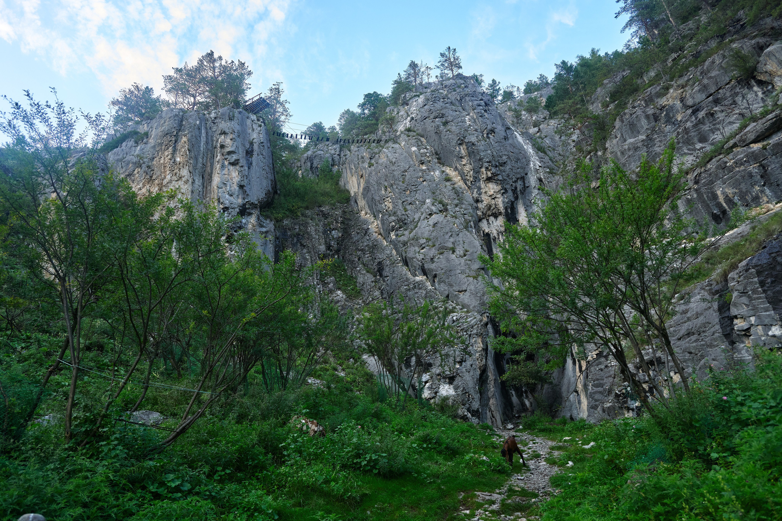 Пейзажный фотограф в Горном Алтае: съёмки природы и гор. Фотограф Опыт Качество Скорость Горный Алтай Барнаул