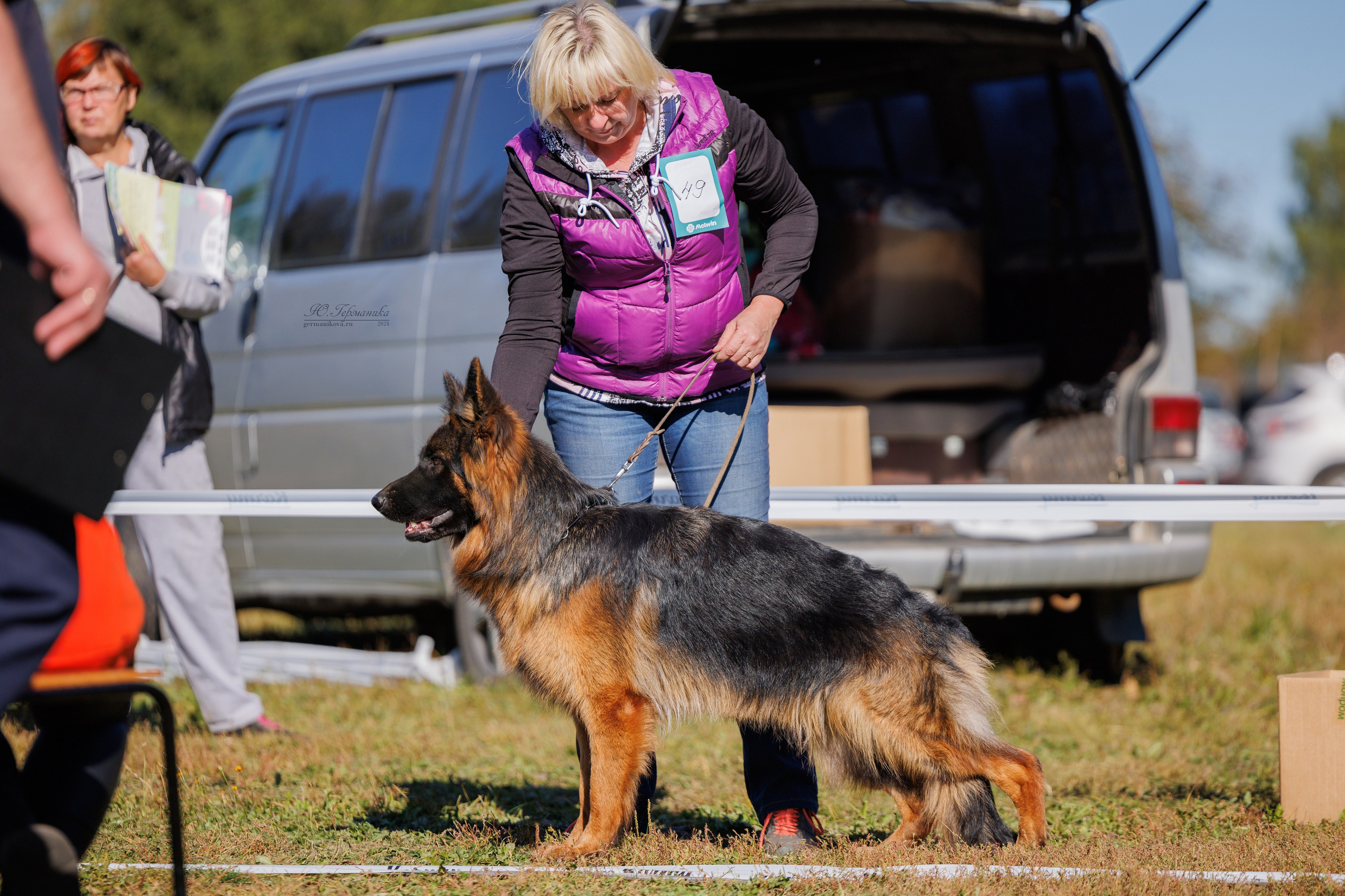 Тверь немецкие овчарки 22.09.2024. Фотограф-анималист Юлия Германика