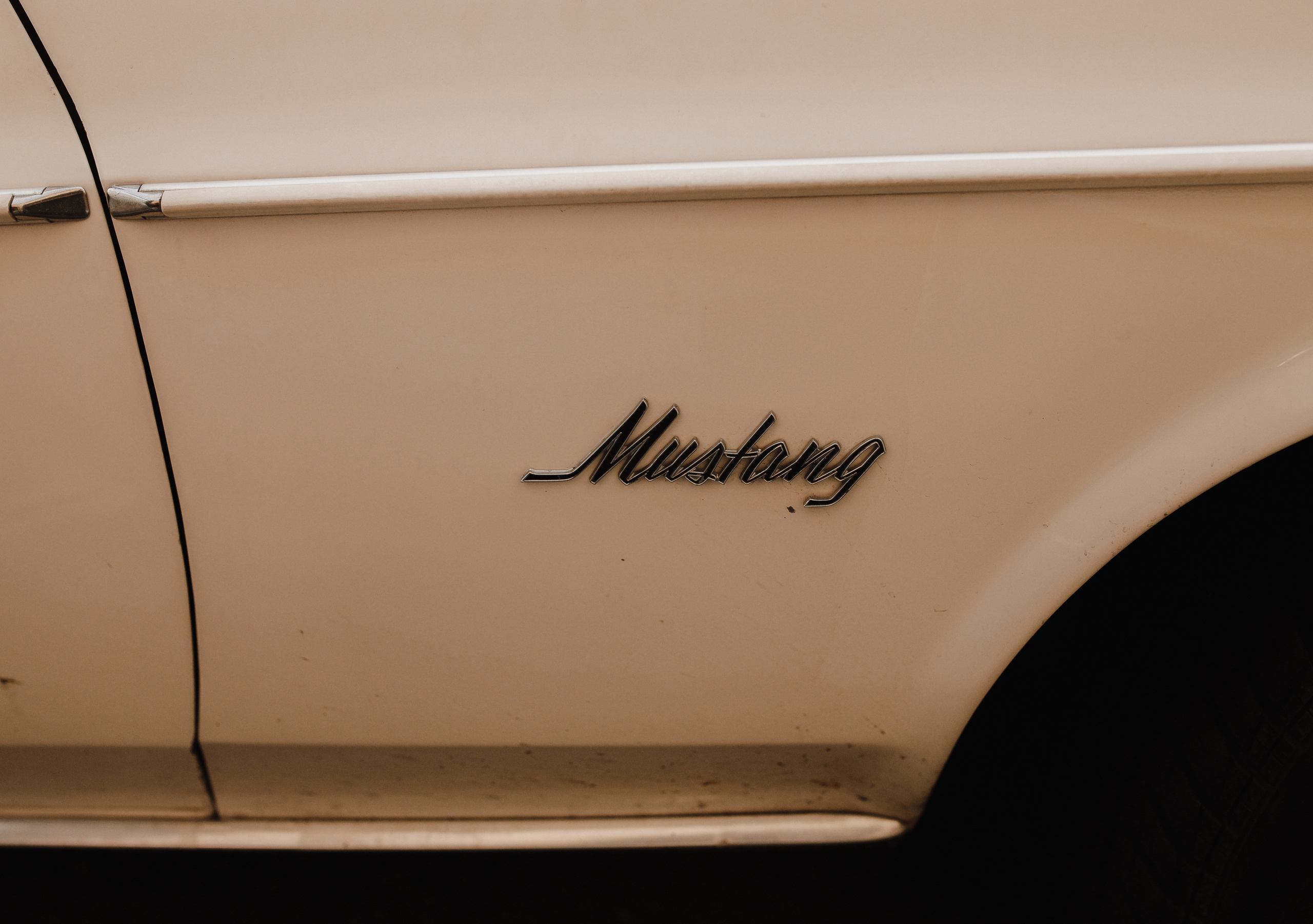 Дима и Света (Питер). Семейный свадебный фотограф Семен Егоров