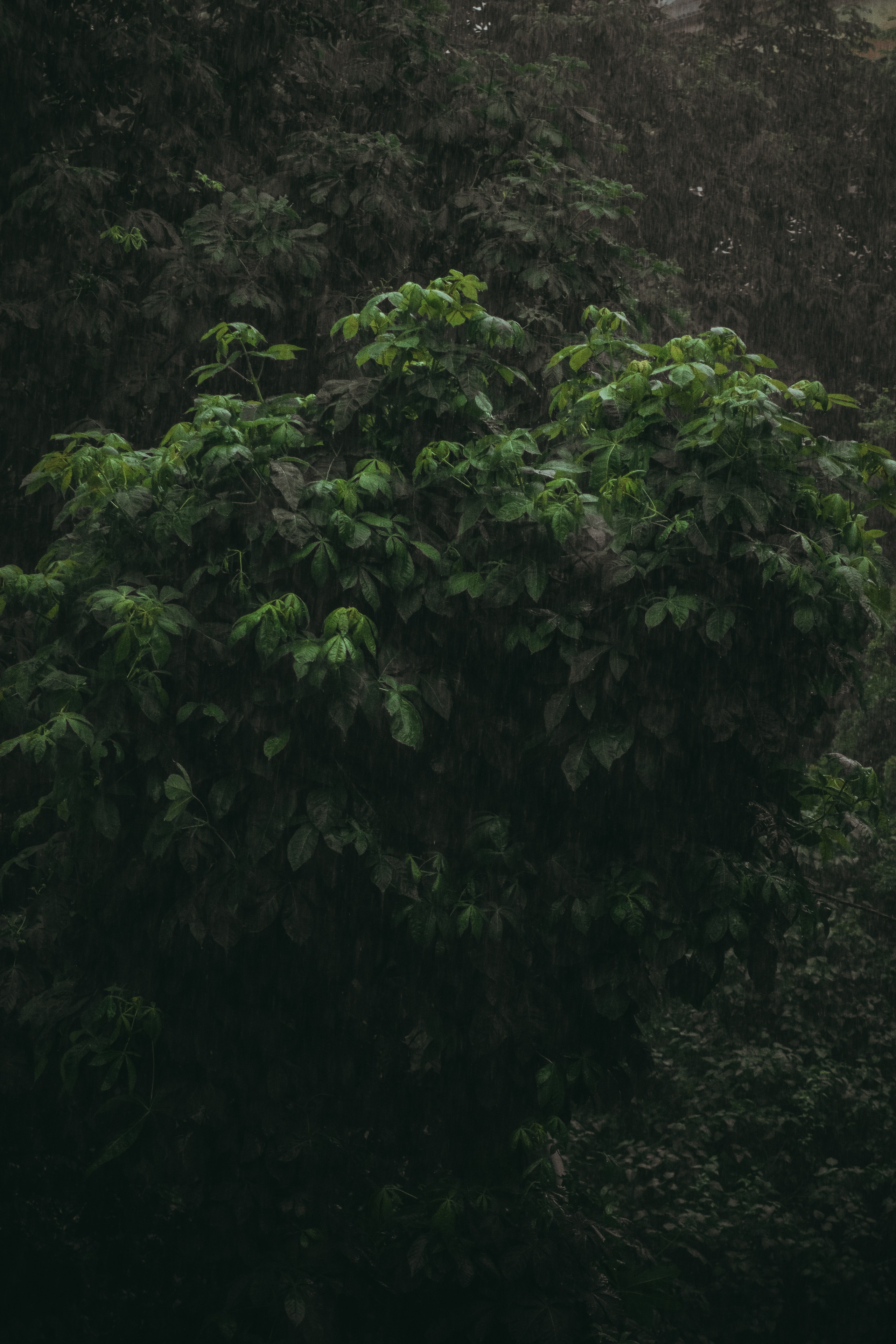 Т Е П Л Ы Й — З Е Л Е Н Ы Й. — Digital Noise —