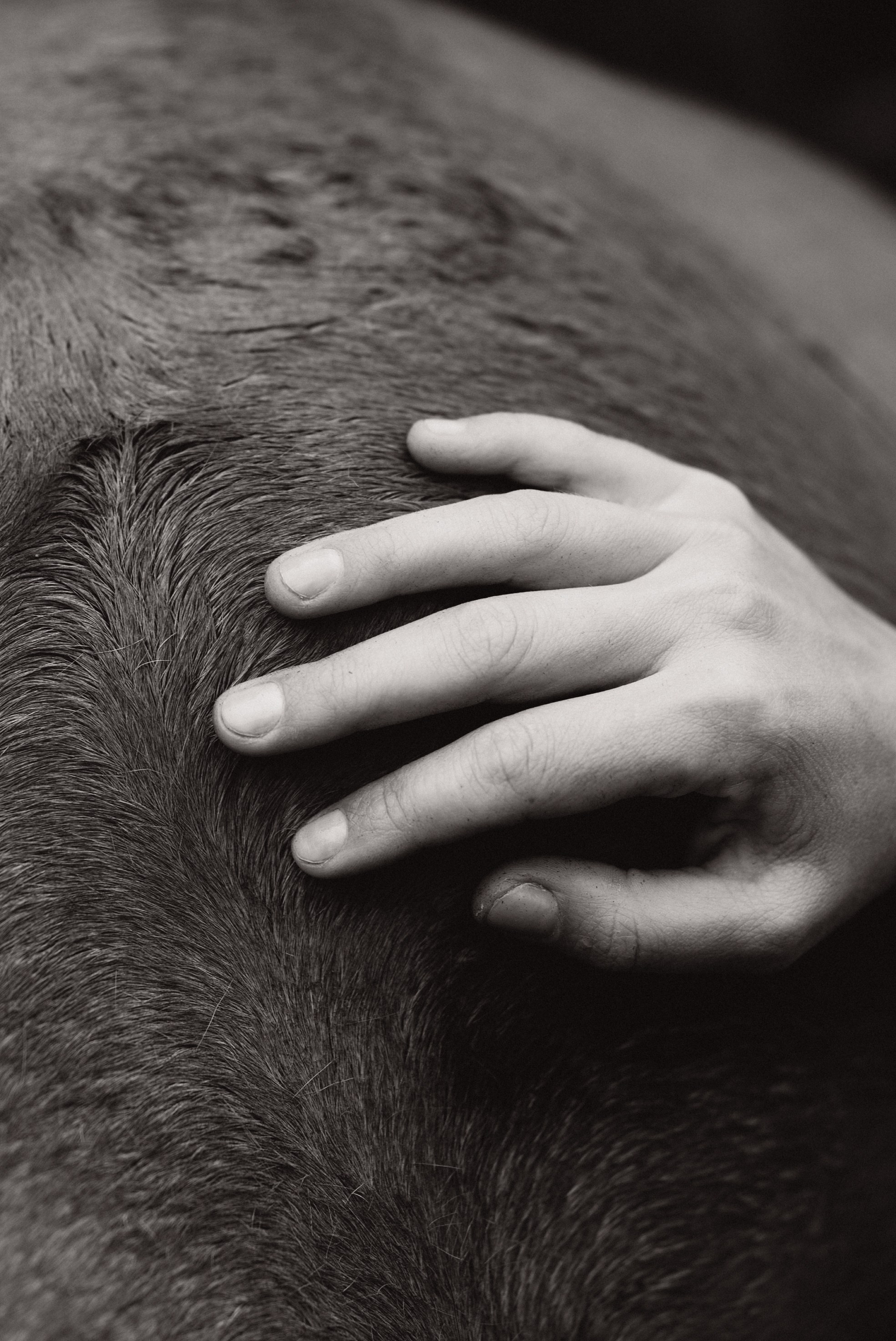 Иваново детство. Семейный свадебный фотограф Екатеринбург Первоуральск Шарнина Алёна