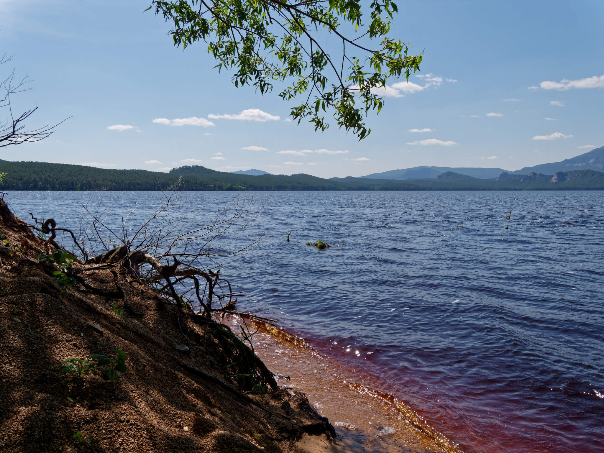 Боровое 2024 (из архива). Избранные фотографии