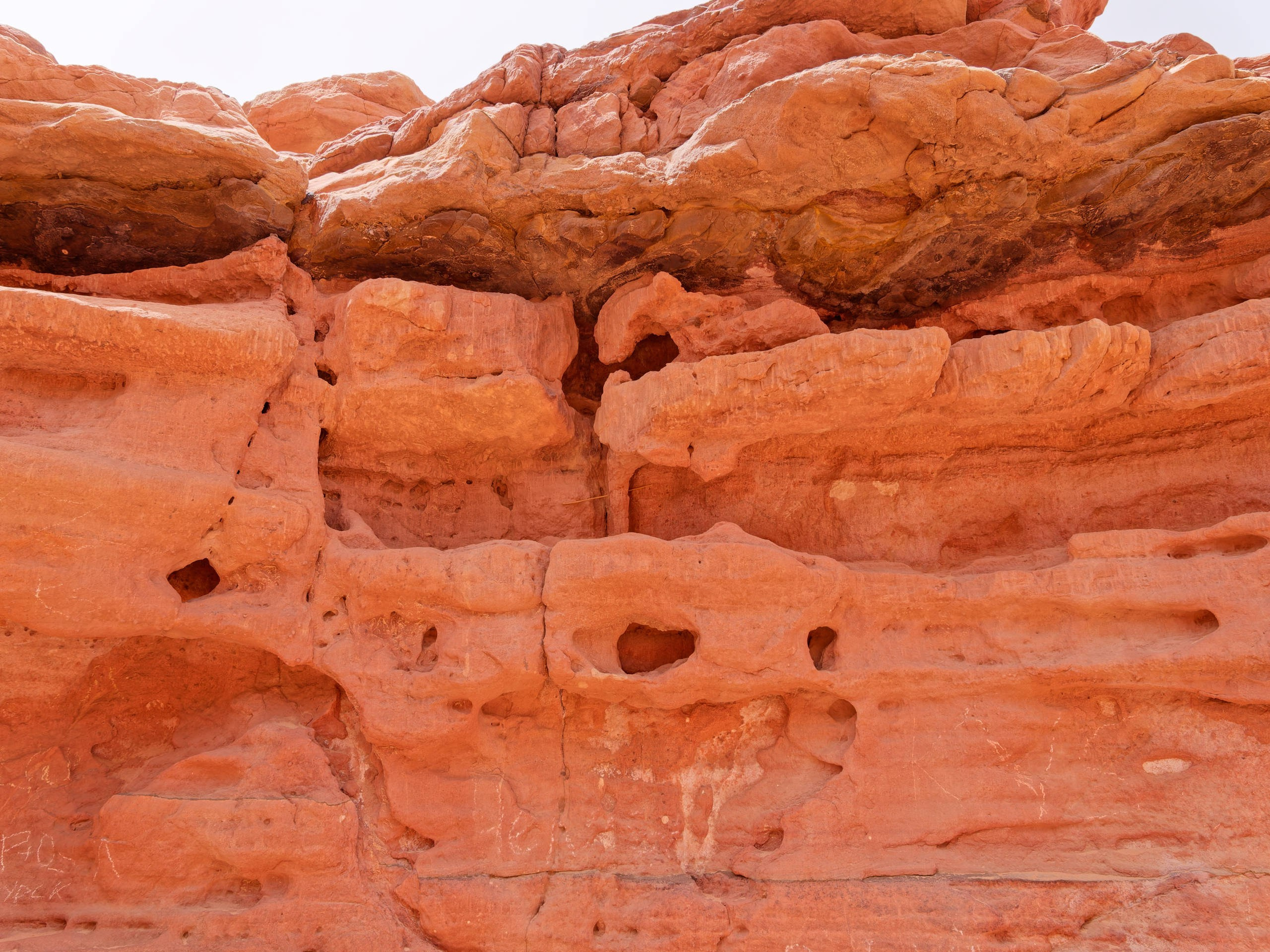 Шарм-эль-Шейх 2022, сафари. Избранные фотографии