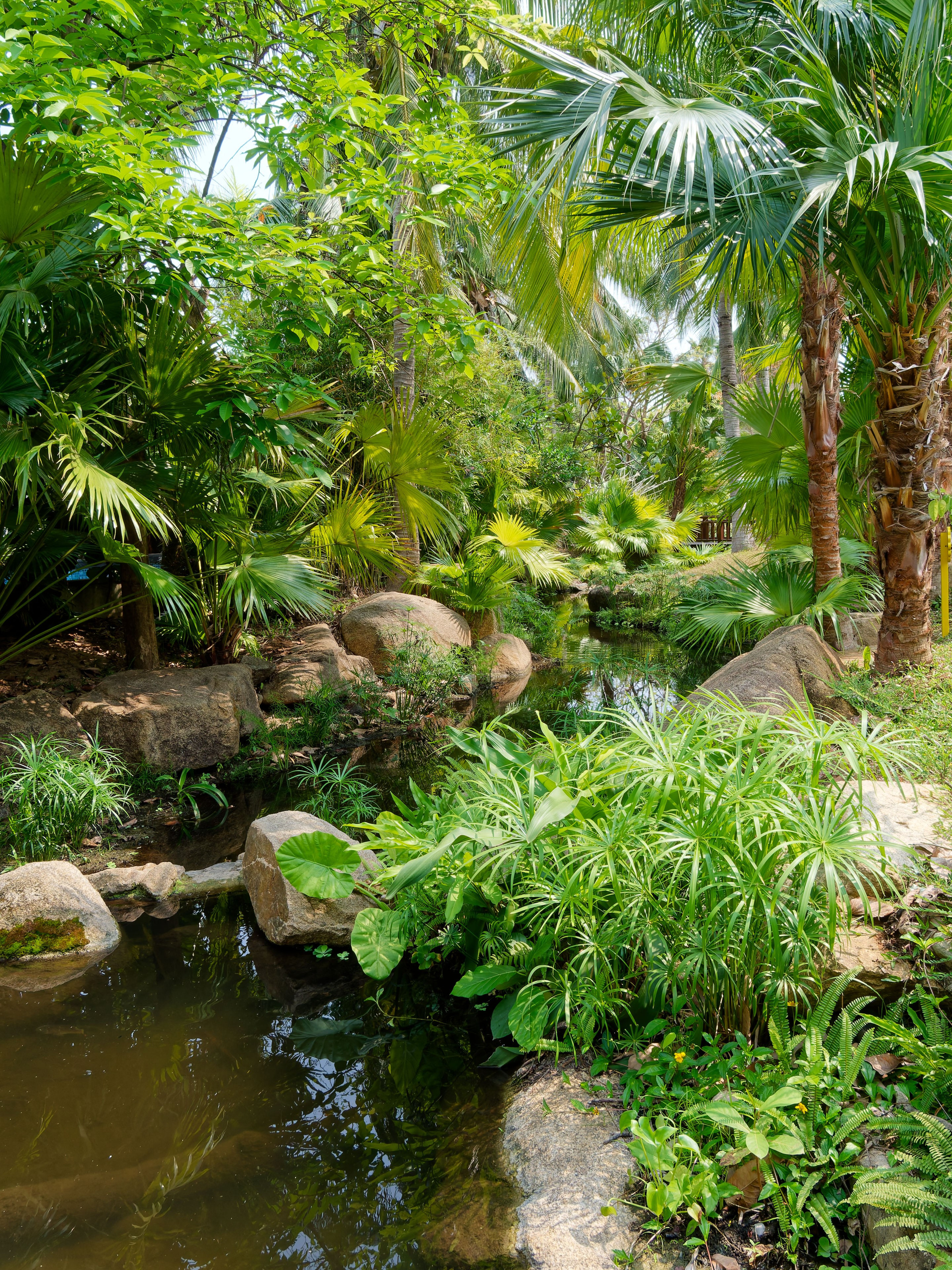 Хайнань 2026, отель «Stony Brook Villa Jianguo Resort Sanya 4*». Фотопрогулки по Миру