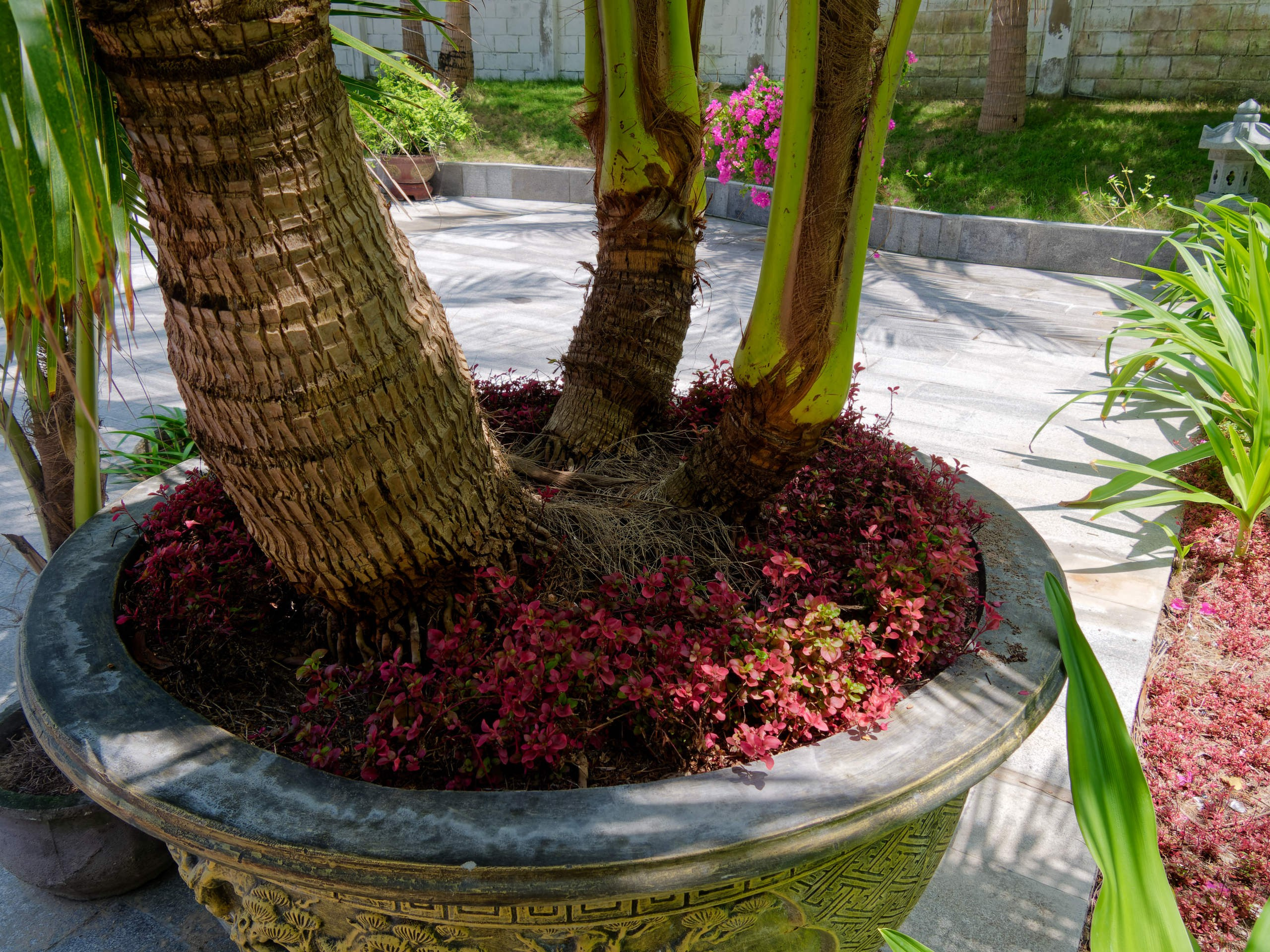 Нячанг 2025 (6). Избранные фотографии