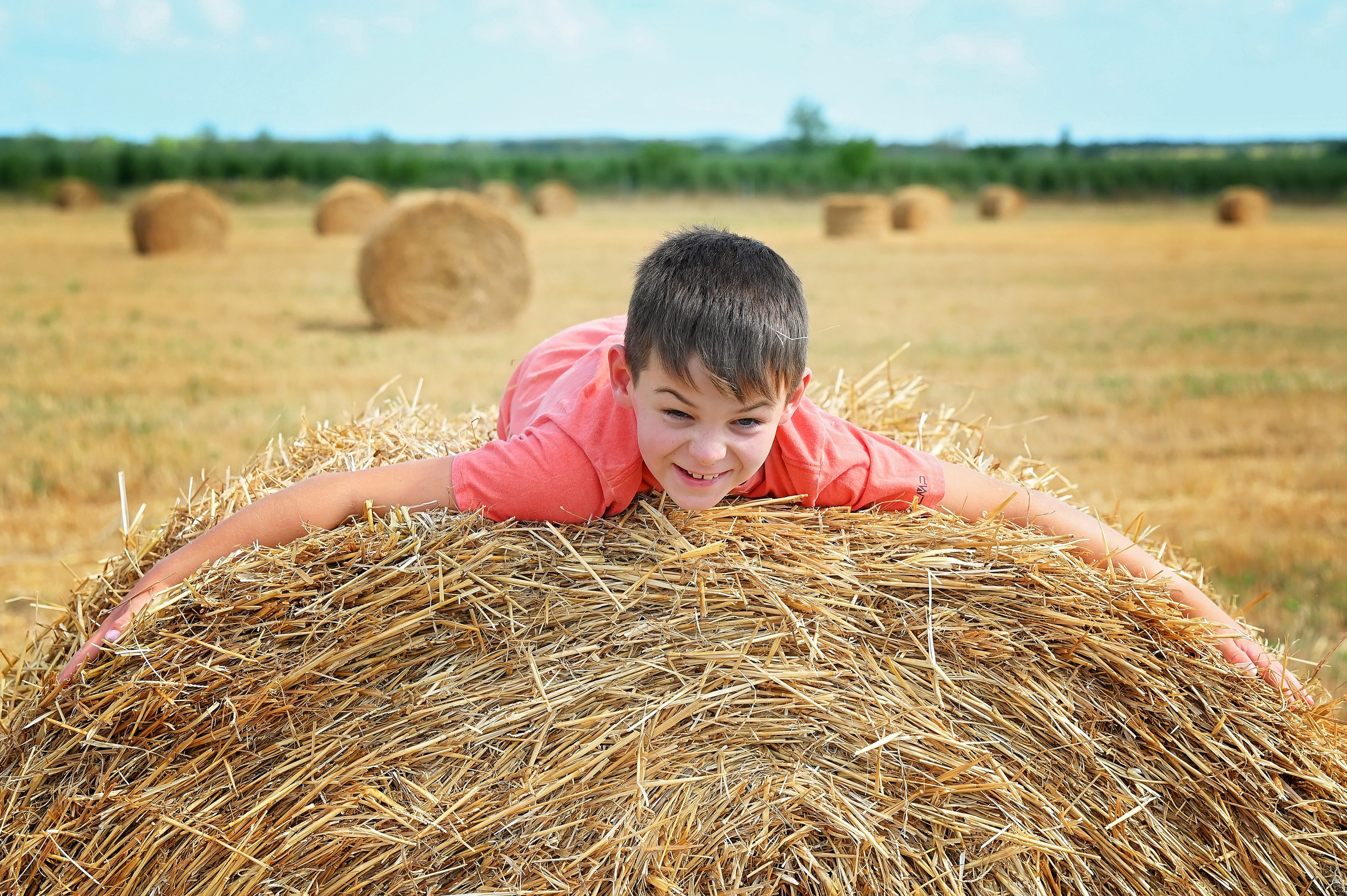 Сено. Главная