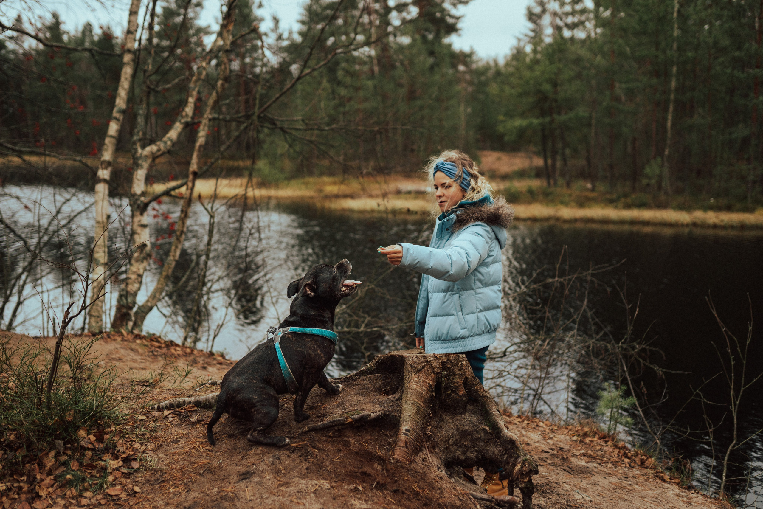Фотограф анималист в Санкт-Петербурге. Фотограф анималист в Спб недорого Олеся Майорова