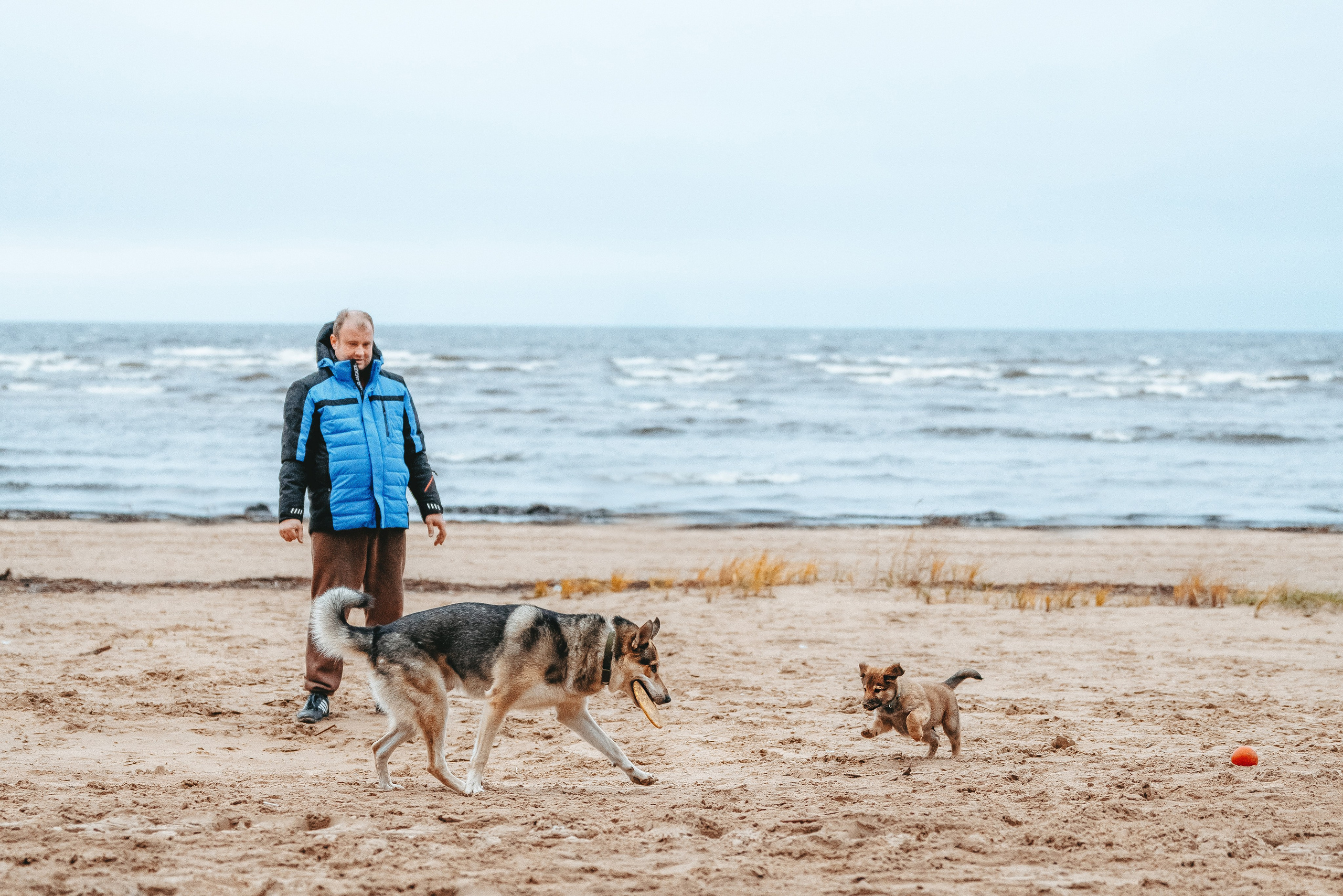 Малыш Кузя и его семья. Фотограф анималист в Спб недорого Олеся Майорова