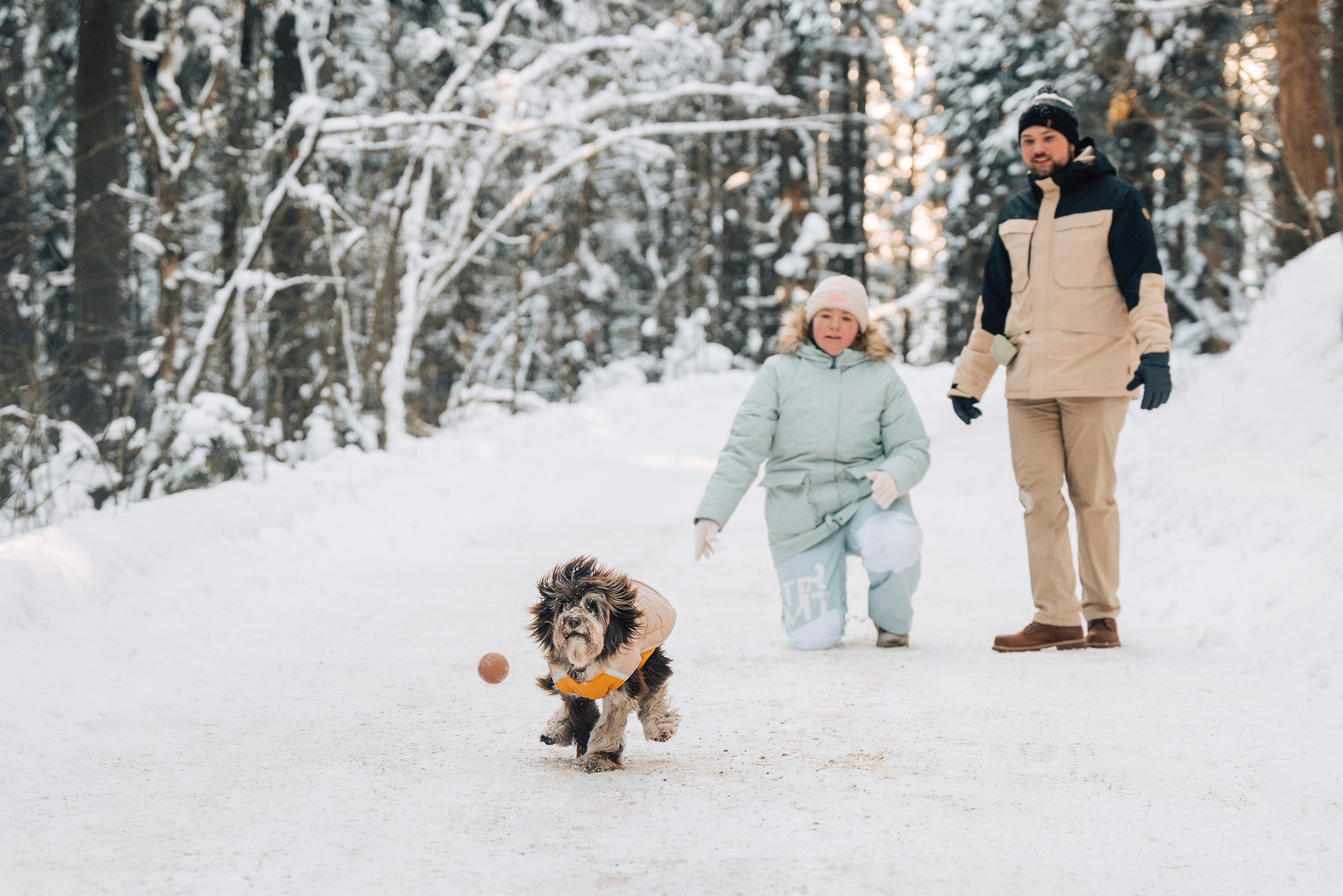 Хэйзел и её семья. Фотограф анималист в Спб недорого Олеся Майорова