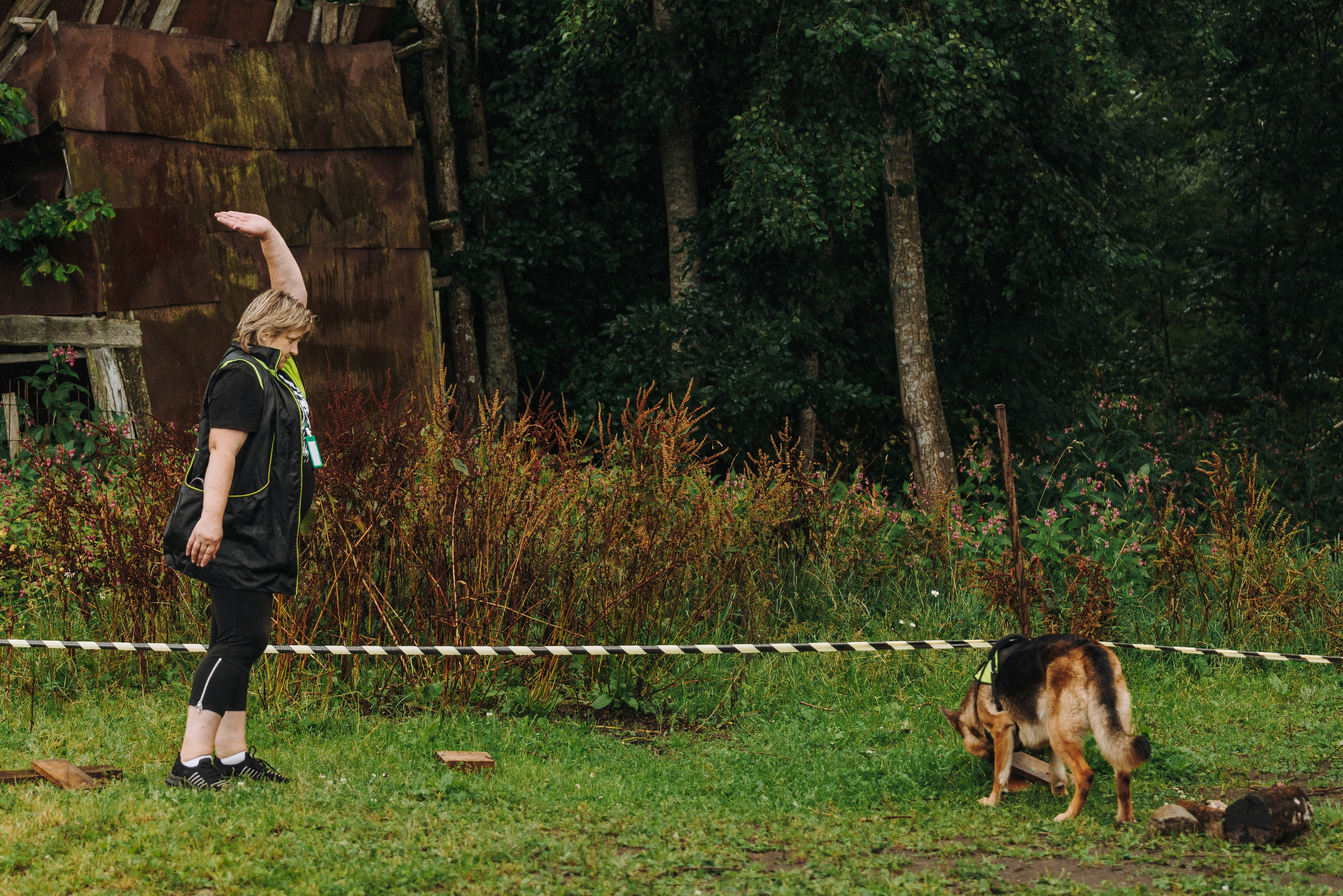 Соревнования по ноузворку в Новожилово. Фотограф анималист в Спб недорого Олеся Майорова