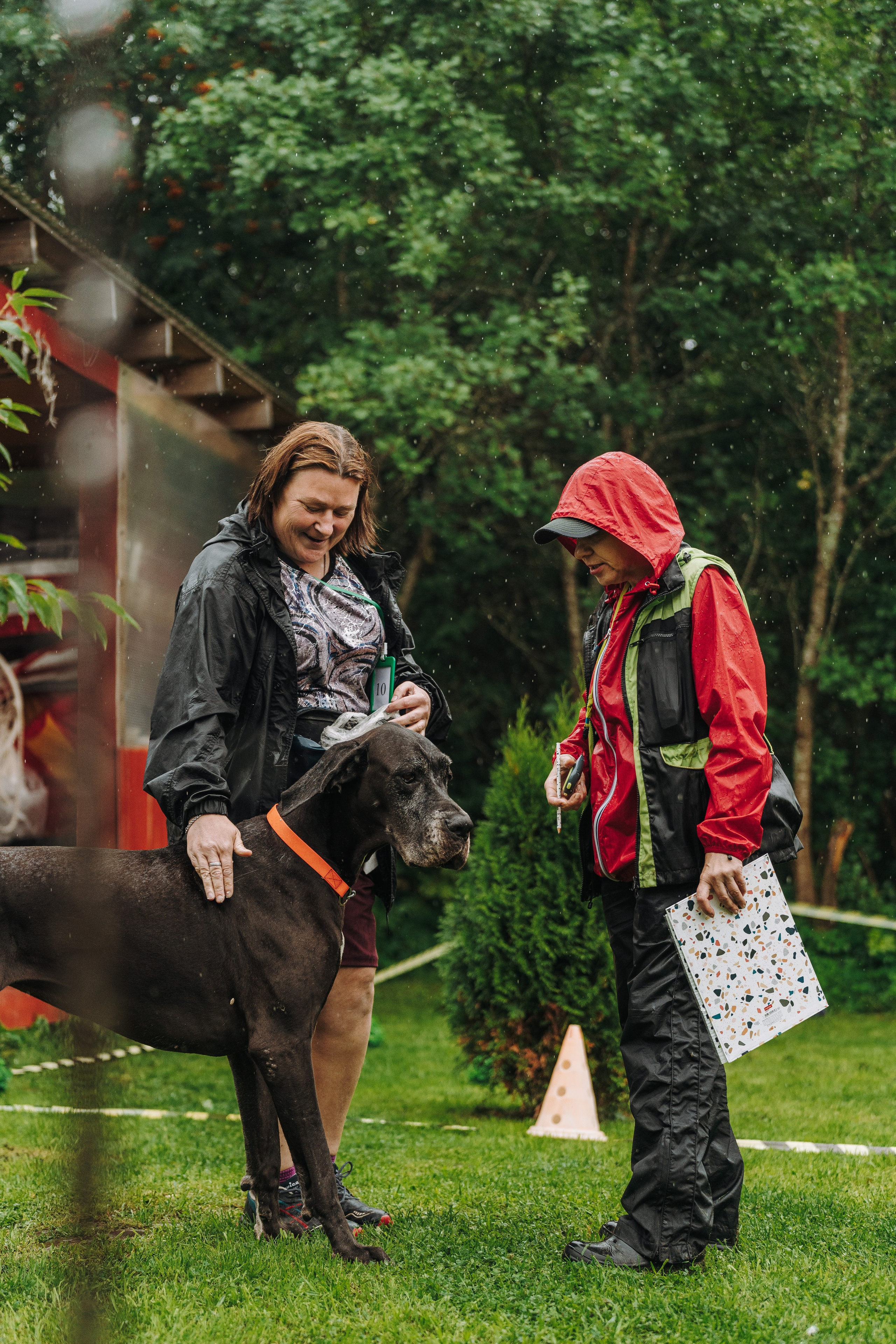 Соревнования по ноузворку в Новожилово. Фотограф анималист в Спб недорого Олеся Майорова