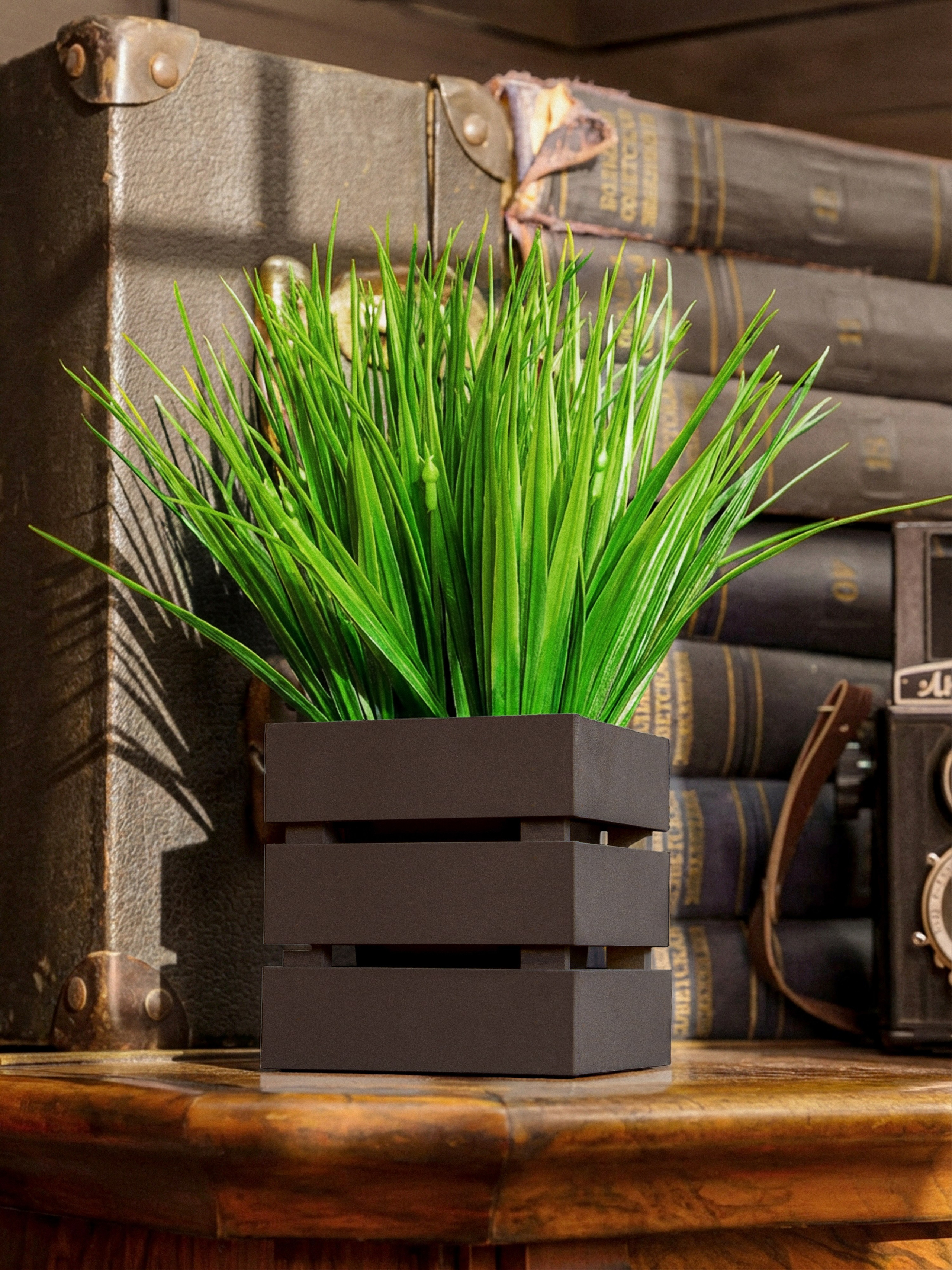 Кашпо. Макаров Сергей|Creamlebot Фотограф города Ростов-на-Дону