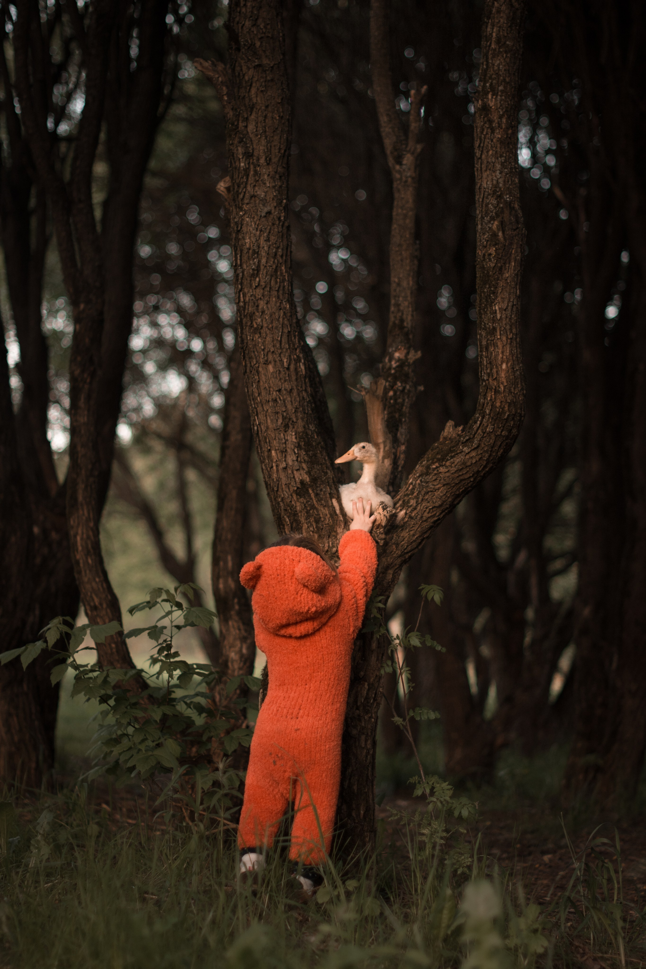 Малыши в парке. Фотосессия беременности — Крылова Натали — Москва