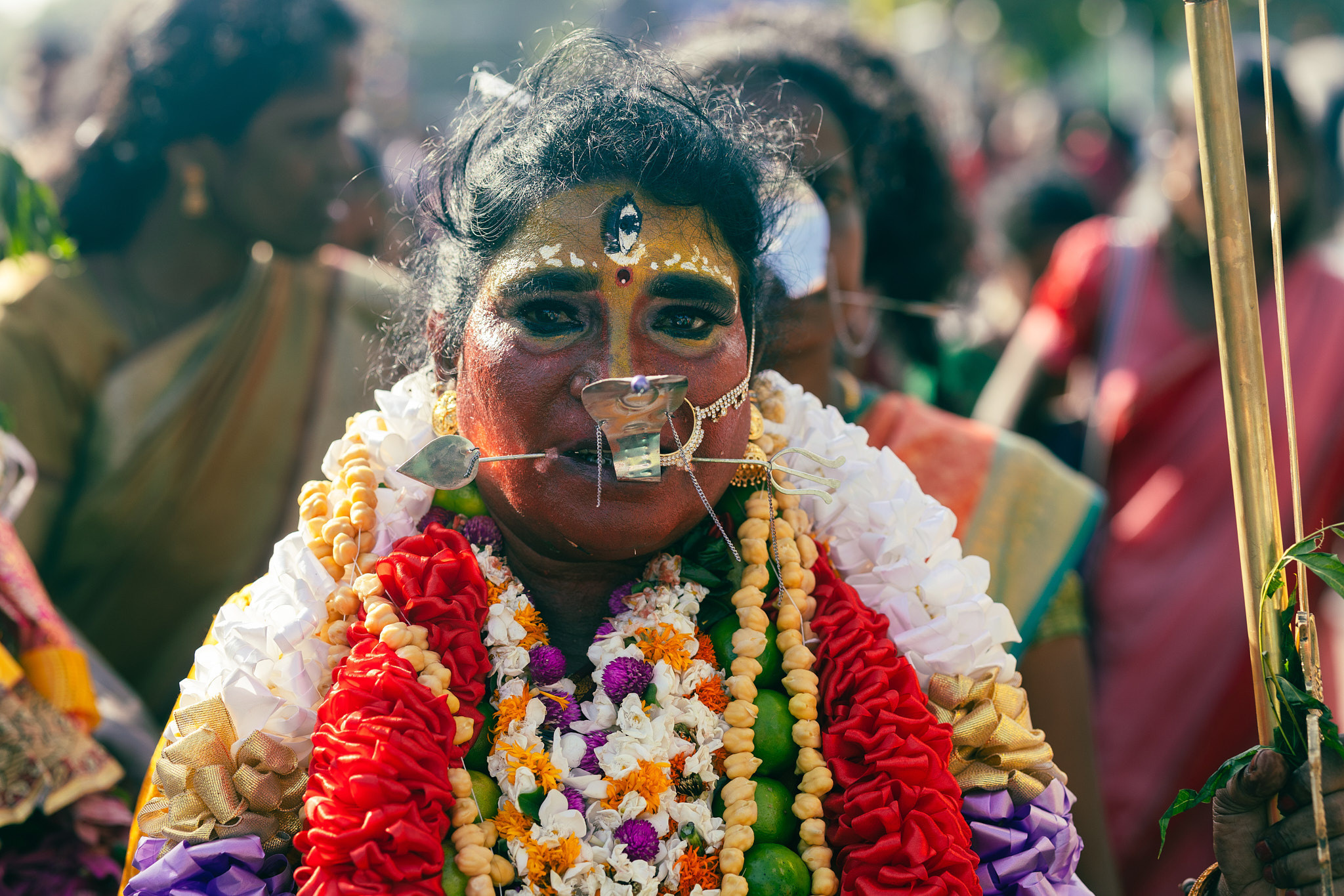 Фестиваль Вел 2023. Фотограф Сонкина Татьяна