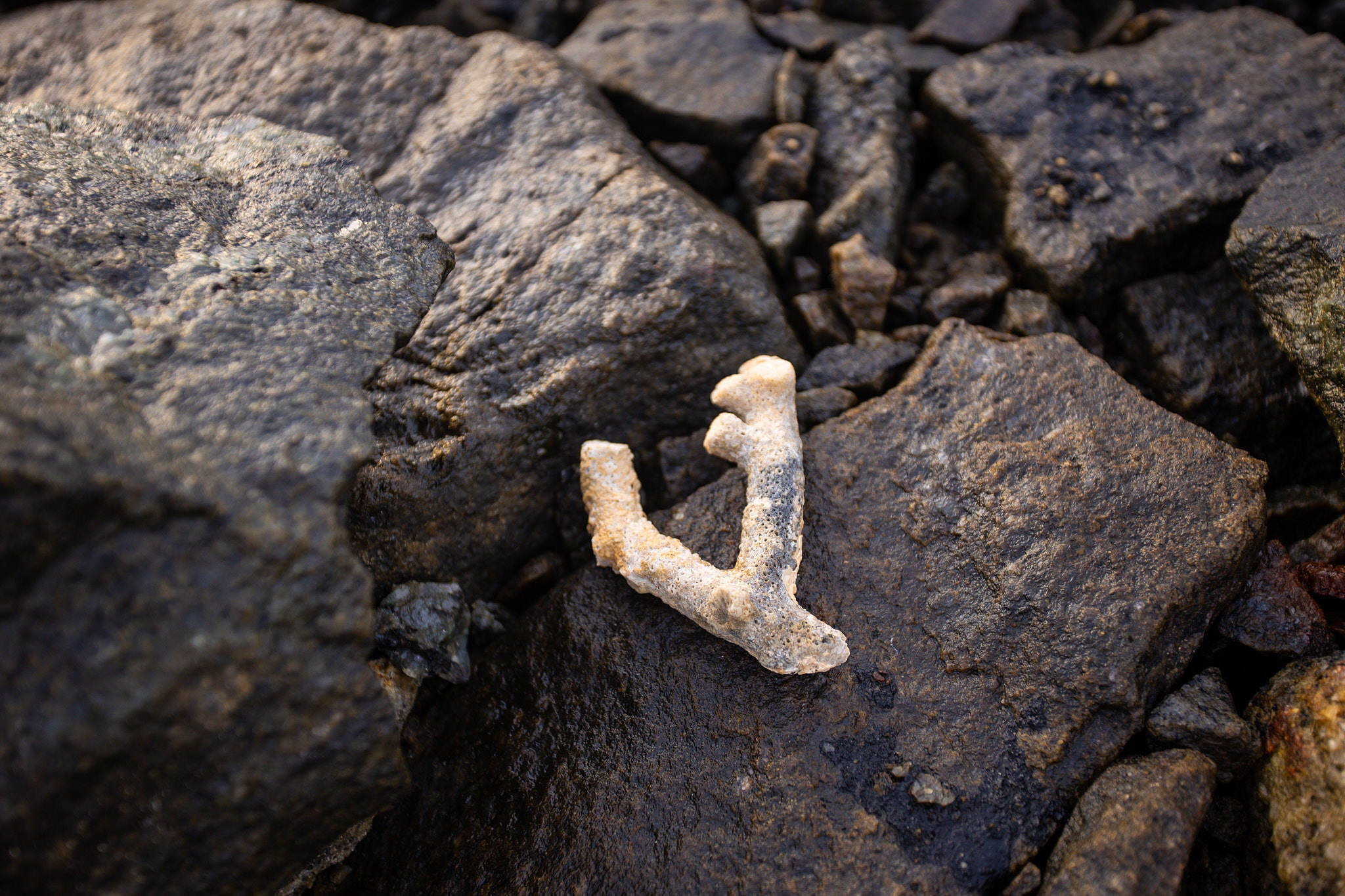 Hikkaduwa. Photographer Sonkina Tatiana (Tanya Ash)