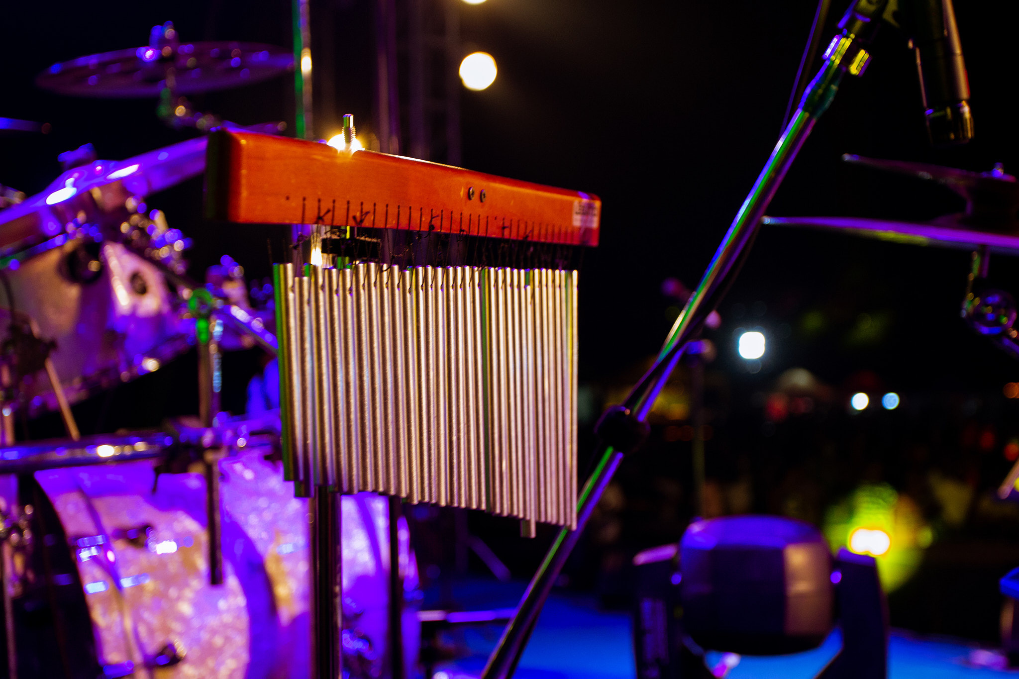 The Largest Food and Music Festival. Photographer Sonkina Tatiana (Tanya Ash)