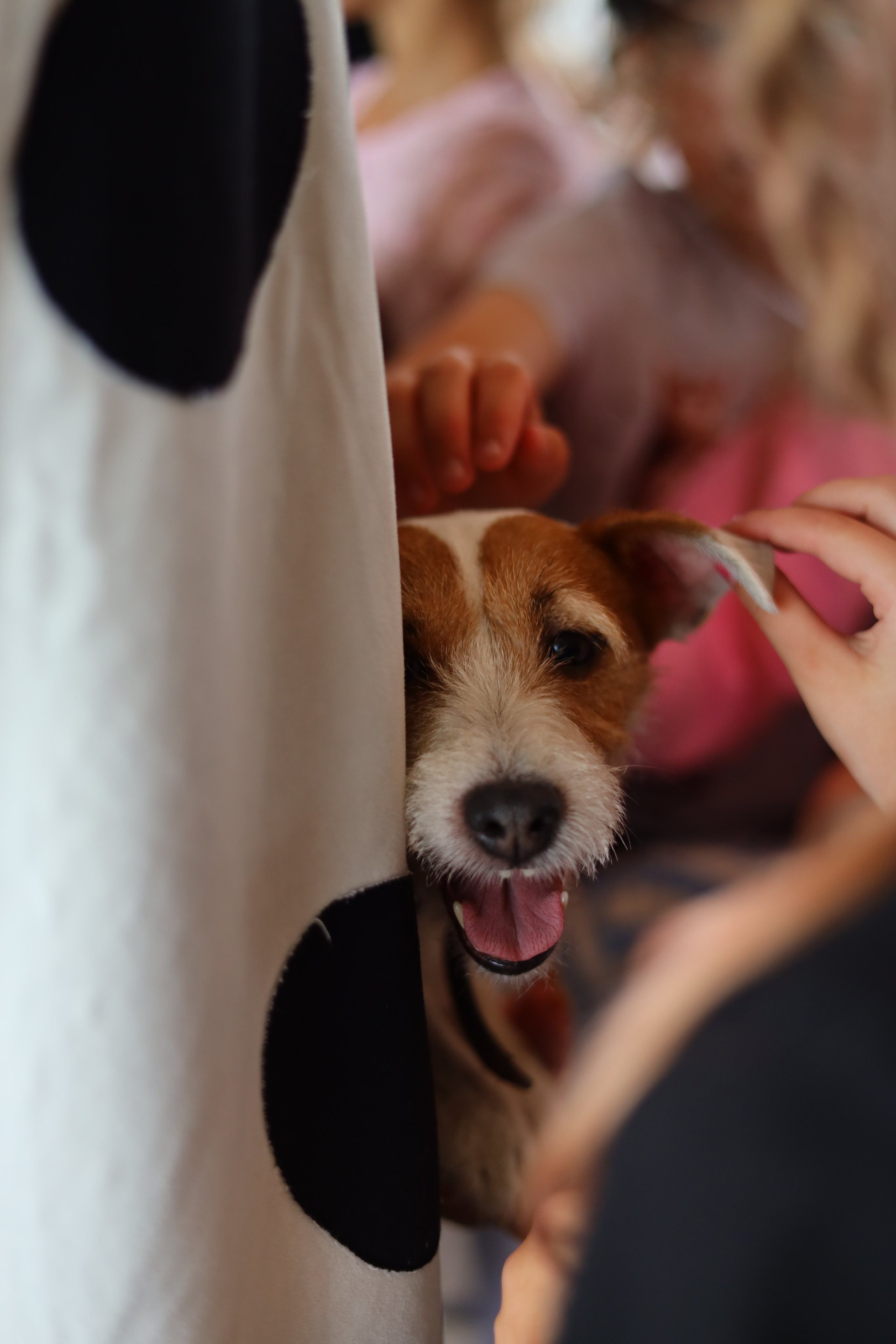 Праздник семьи