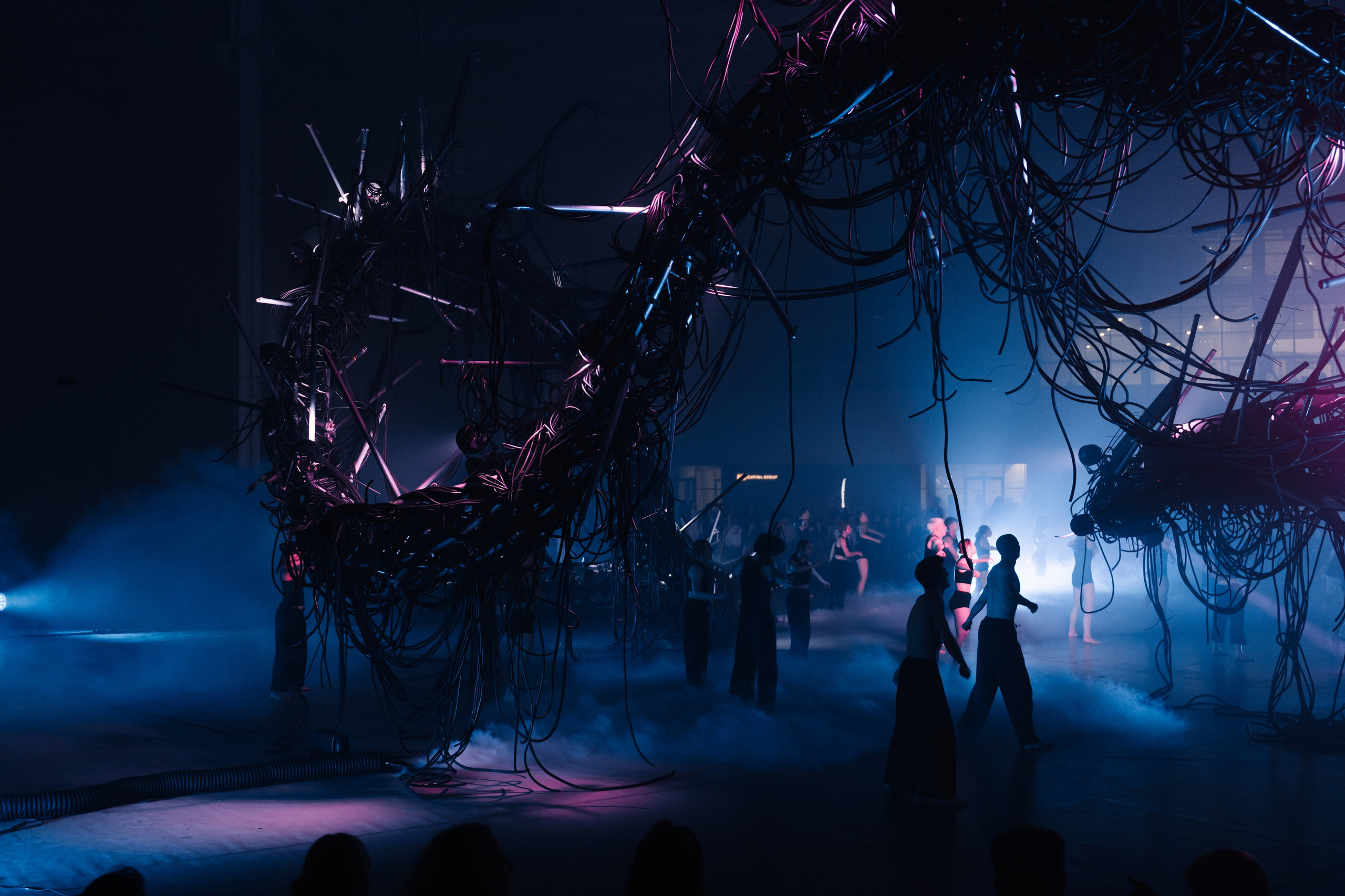 PERFORMA, The Hour of the Horse. @tomrus: Рустам Шагиморданов — фотограф