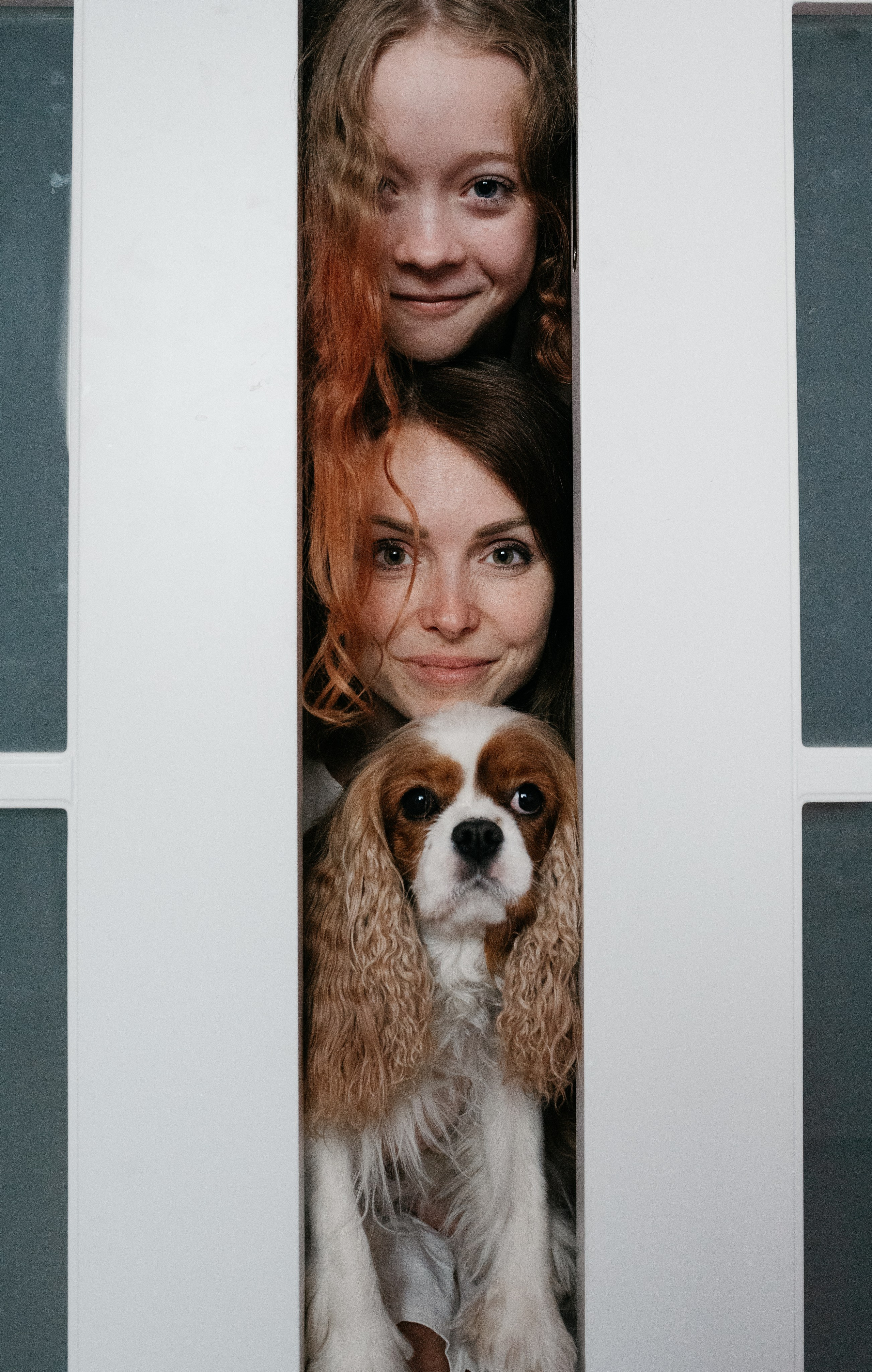 Даша, Диана, Дебби и маленькая крыска. Фотограф анималист в Москве Ольга Агушева