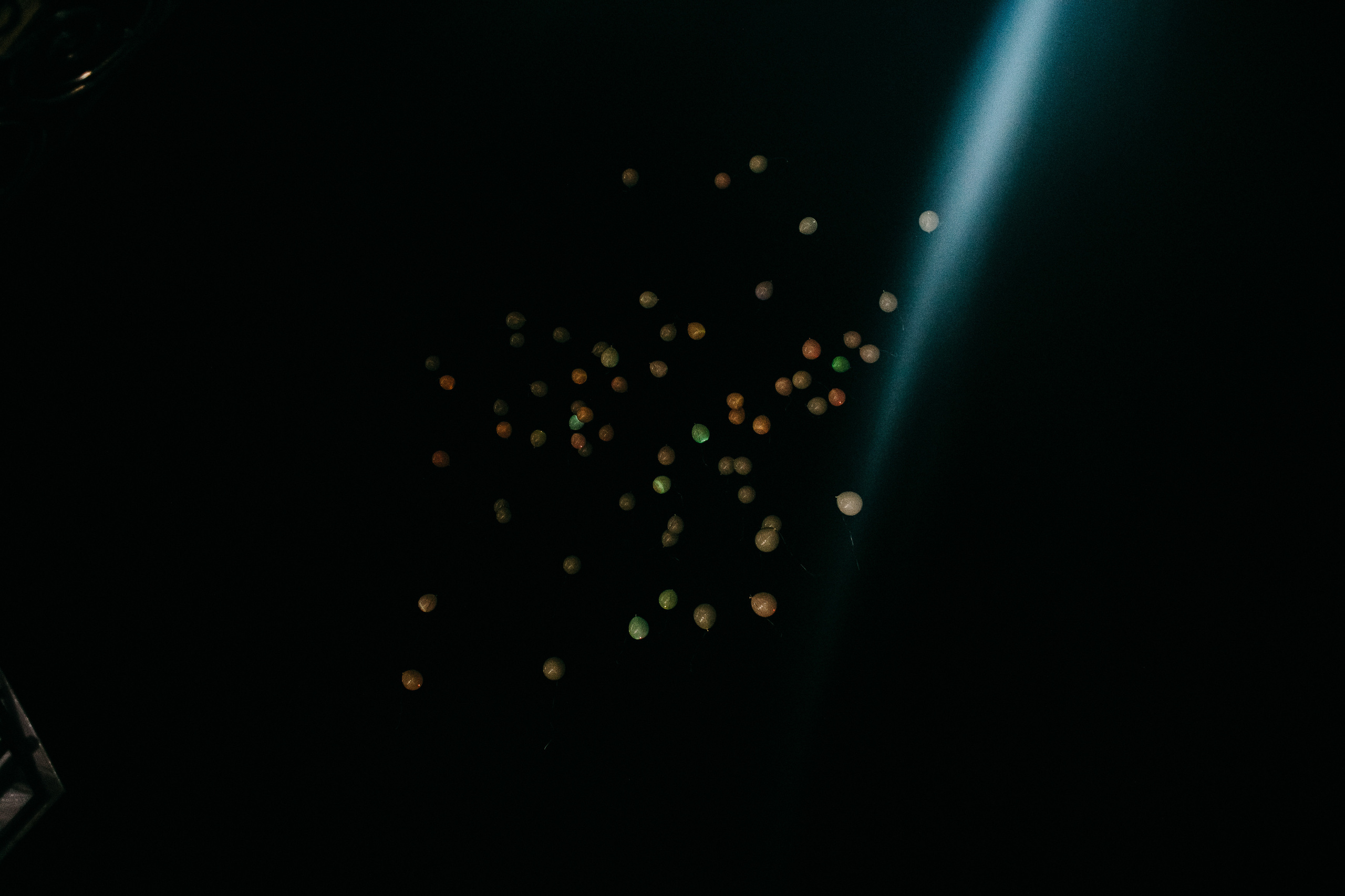 Женя и Тоня. Свадебный и семейный фотограф в Ростове-на-Дону Анастасия Арестова