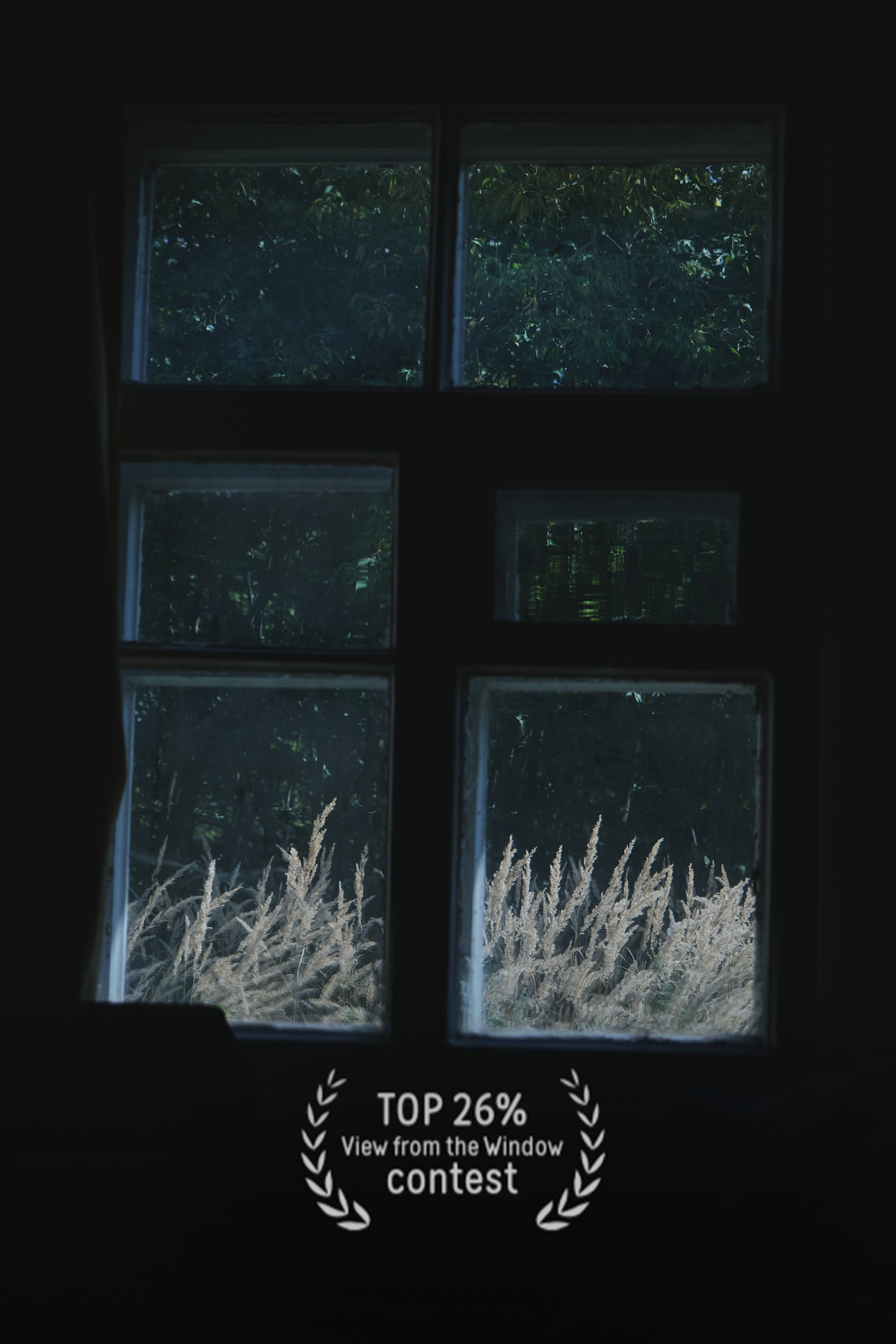 Фото тематического конкурса 35 awards Вид из окна фотограф Колышева Виктория