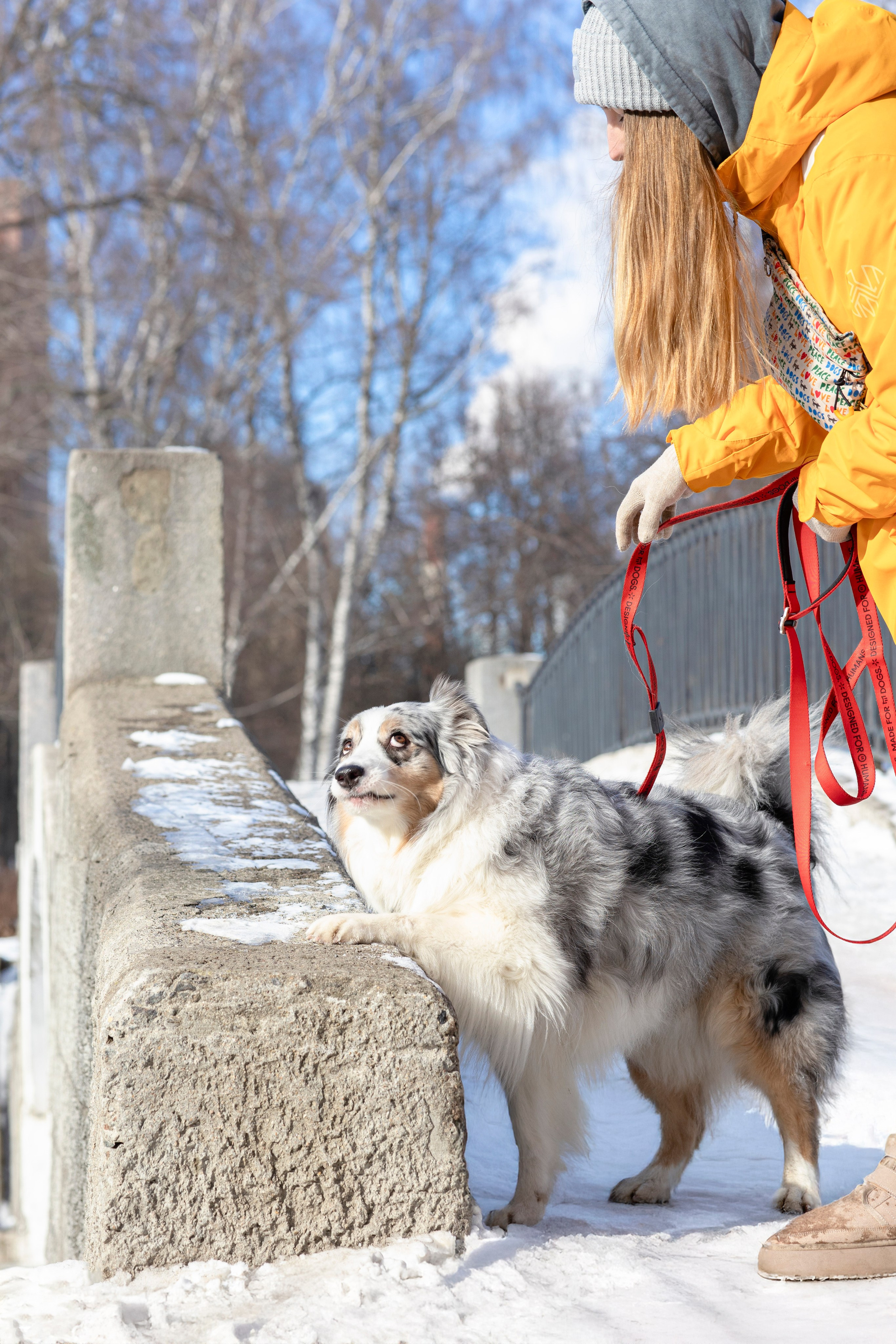 Съемка с собакой. Анастасия Белаш