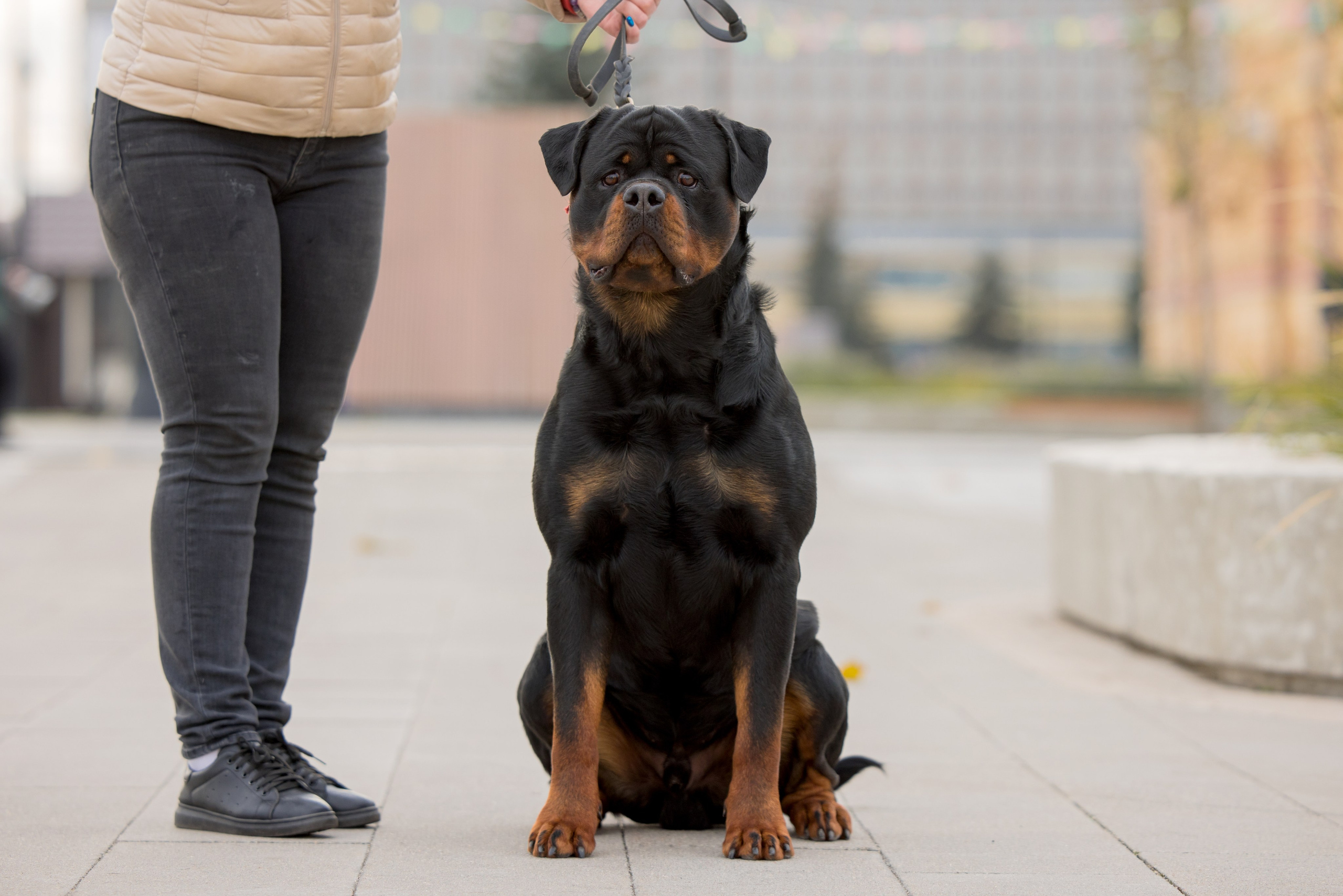Нижний Новгород 21-22.10.2023. Фотограф-анималист Юлия Германика