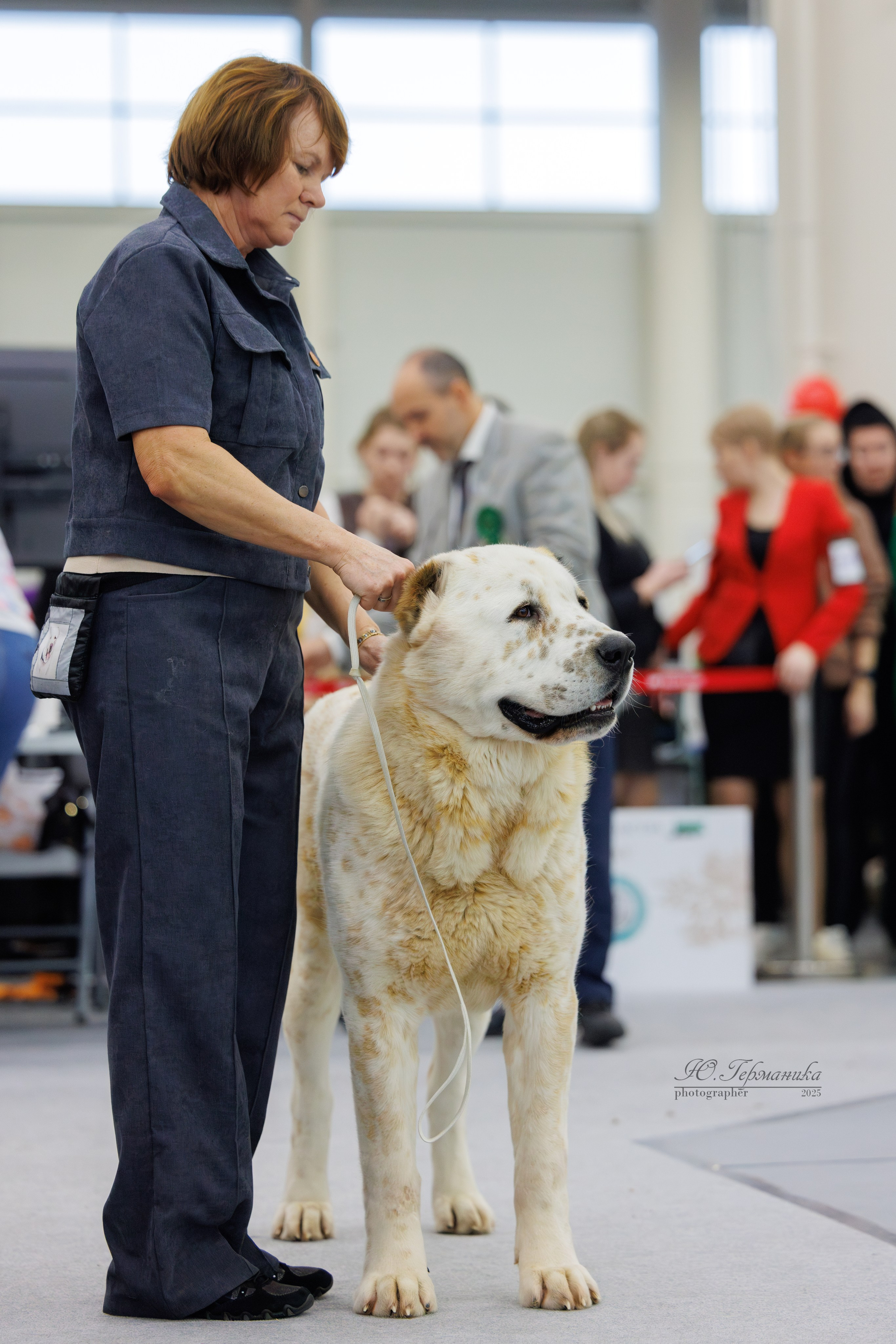 Сабанеевка Казань 25-26.01.2025. Фотограф-анималист Юлия Германика