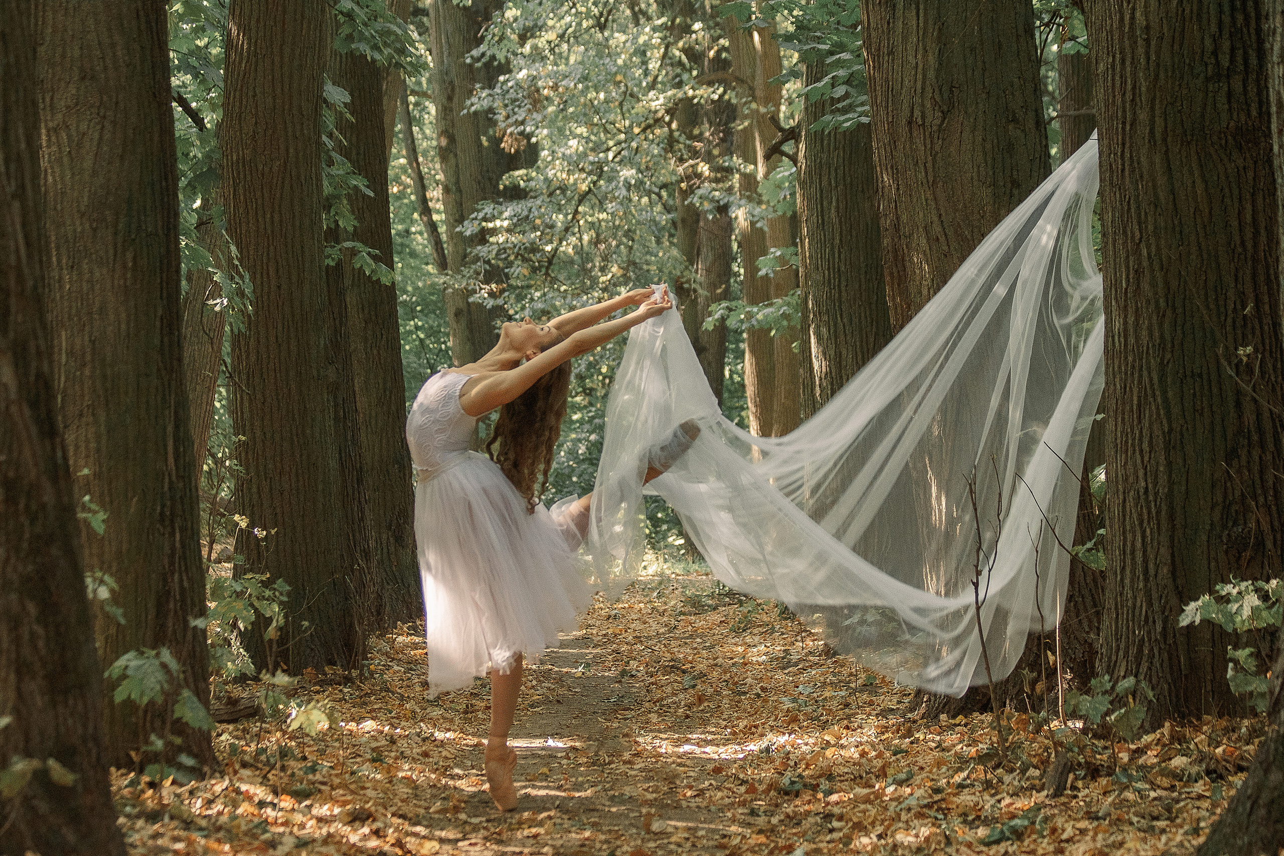 Про балет и лошадей. Балетный фотограф в Москве Галина Молчанова