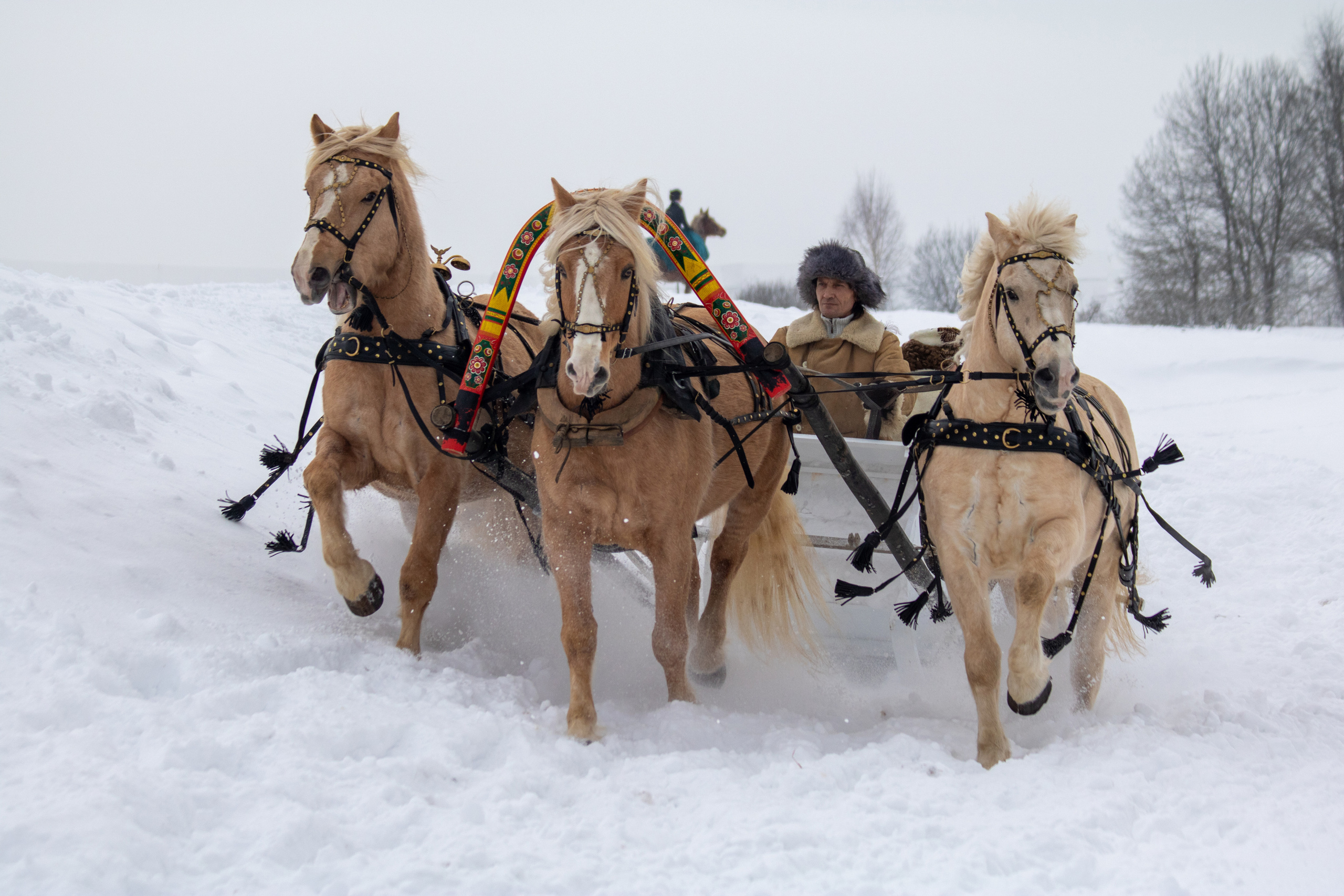 Зимняя охота в Аванпосте. 2022 год. Балетный фотограф в Москве Галина Молчанова