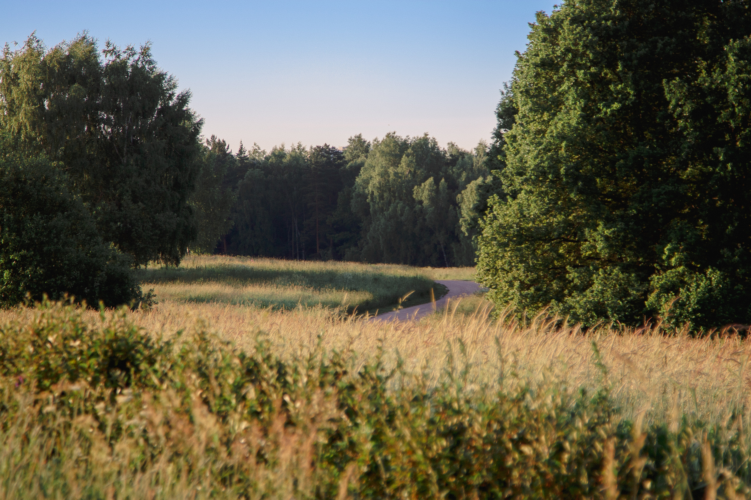Рассветная фотосессия в поле. Балетный фотограф в Москве Галина Молчанова