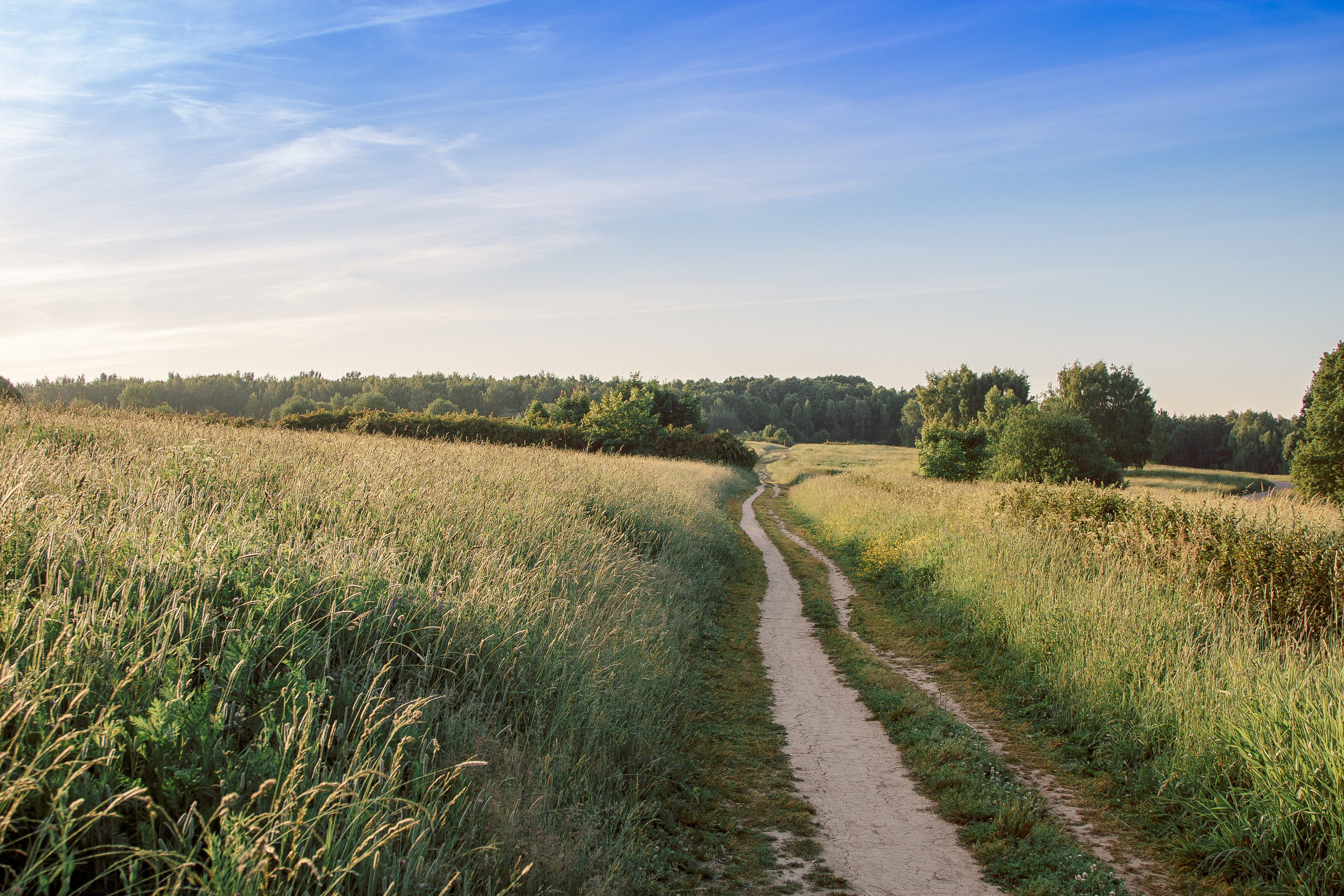 Рассветная фотосессия в поле. Балетный фотограф в Москве Галина Молчанова