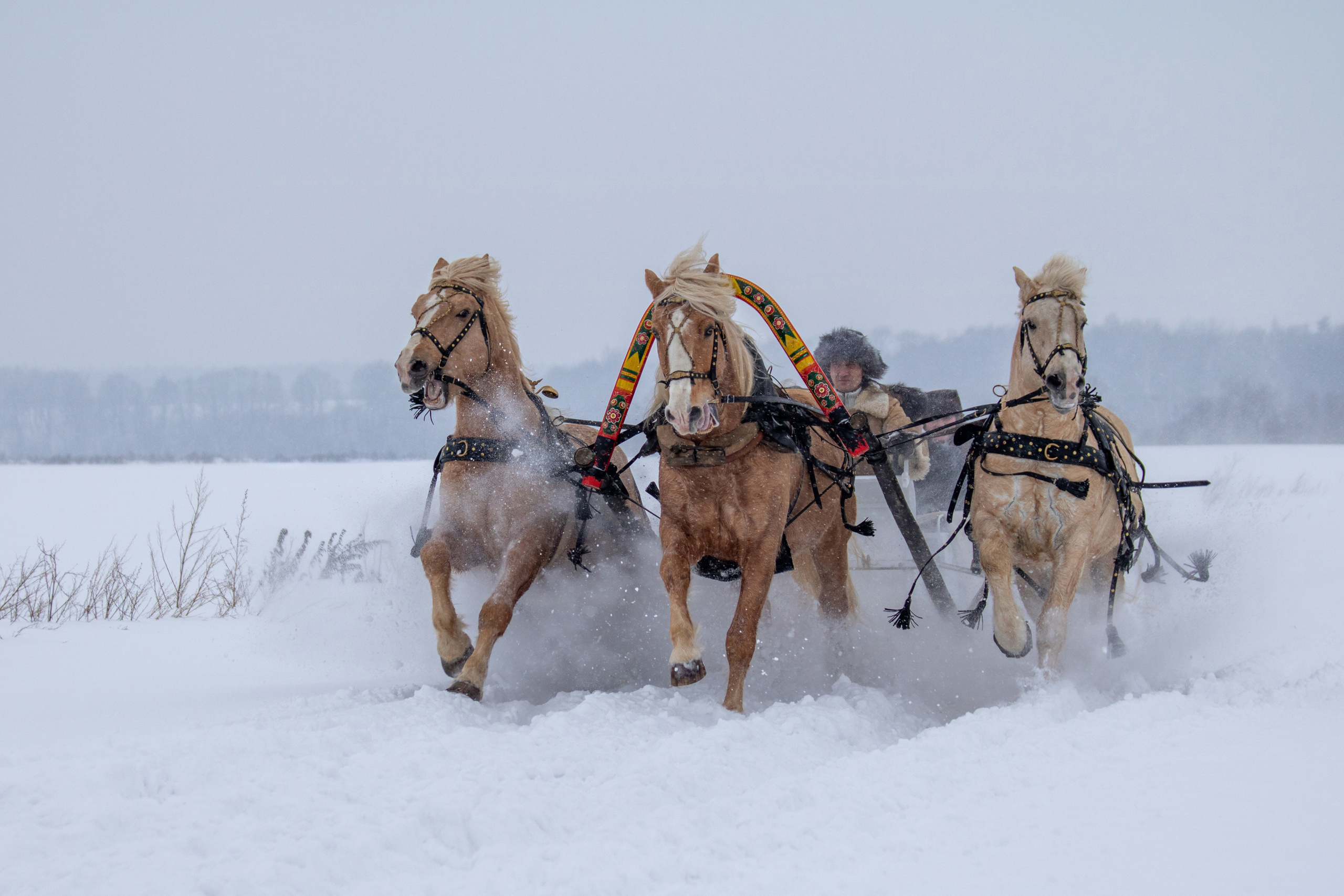 Зимняя охота в Аванпосте. 2022 год. Балетный фотограф в Москве Галина Молчанова