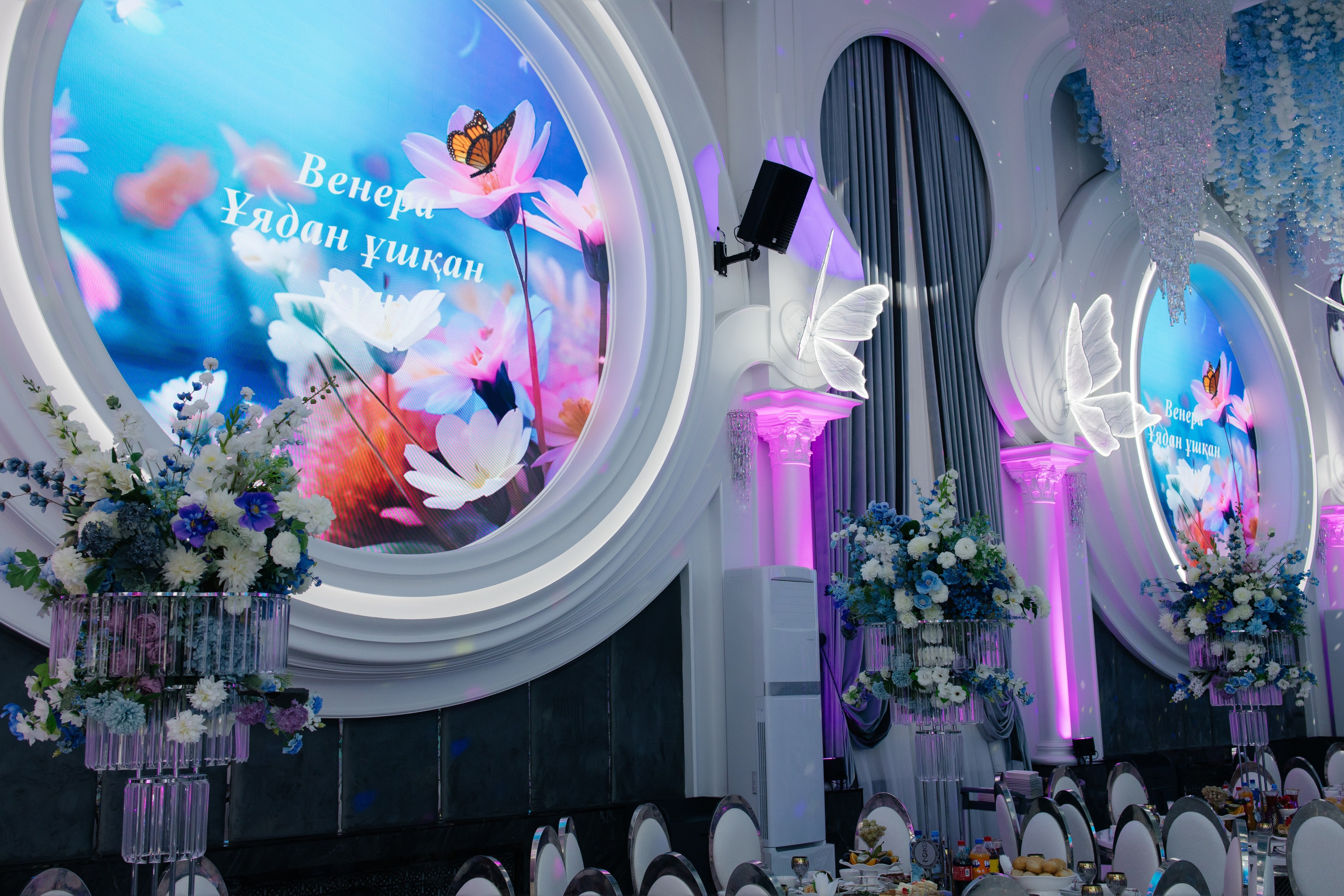 Uzatu Venera. Baikulov