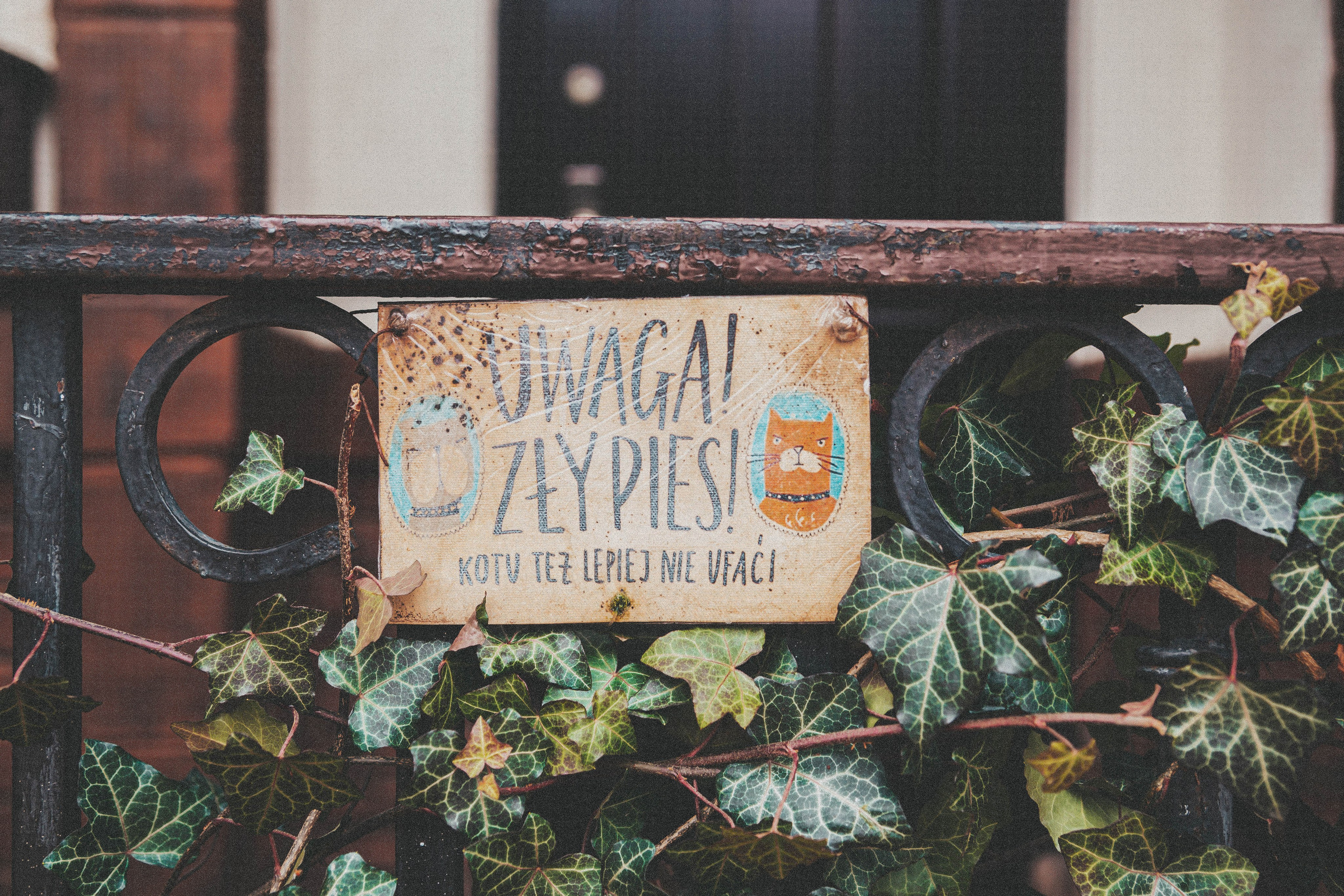 Калининград, декабрь 2025. Фотограф в Ярославле Ольга Пыненкова