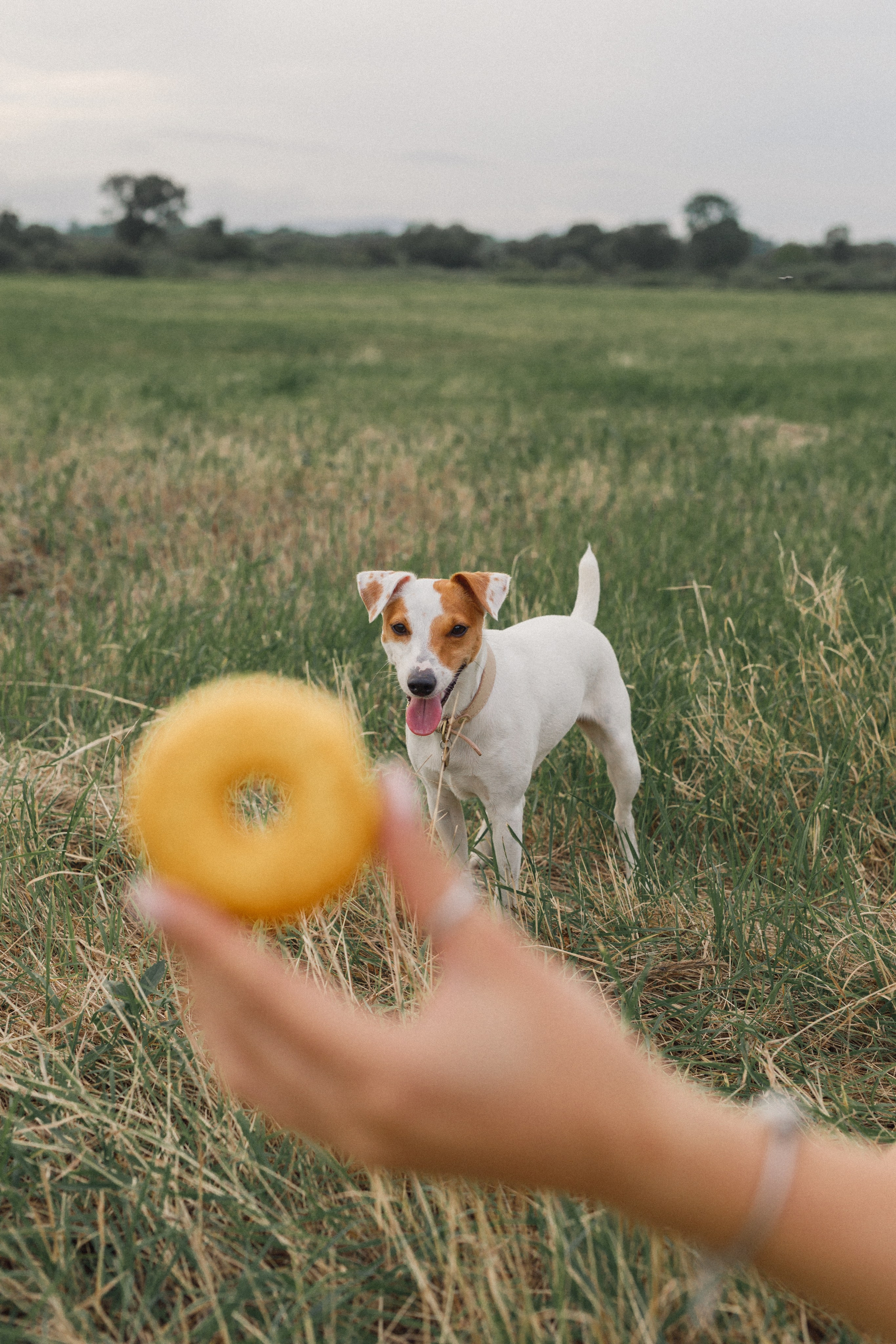 Дорожные приключения. Свадебный и семейный фотограф во Владивостоке Овчинникова Дарья