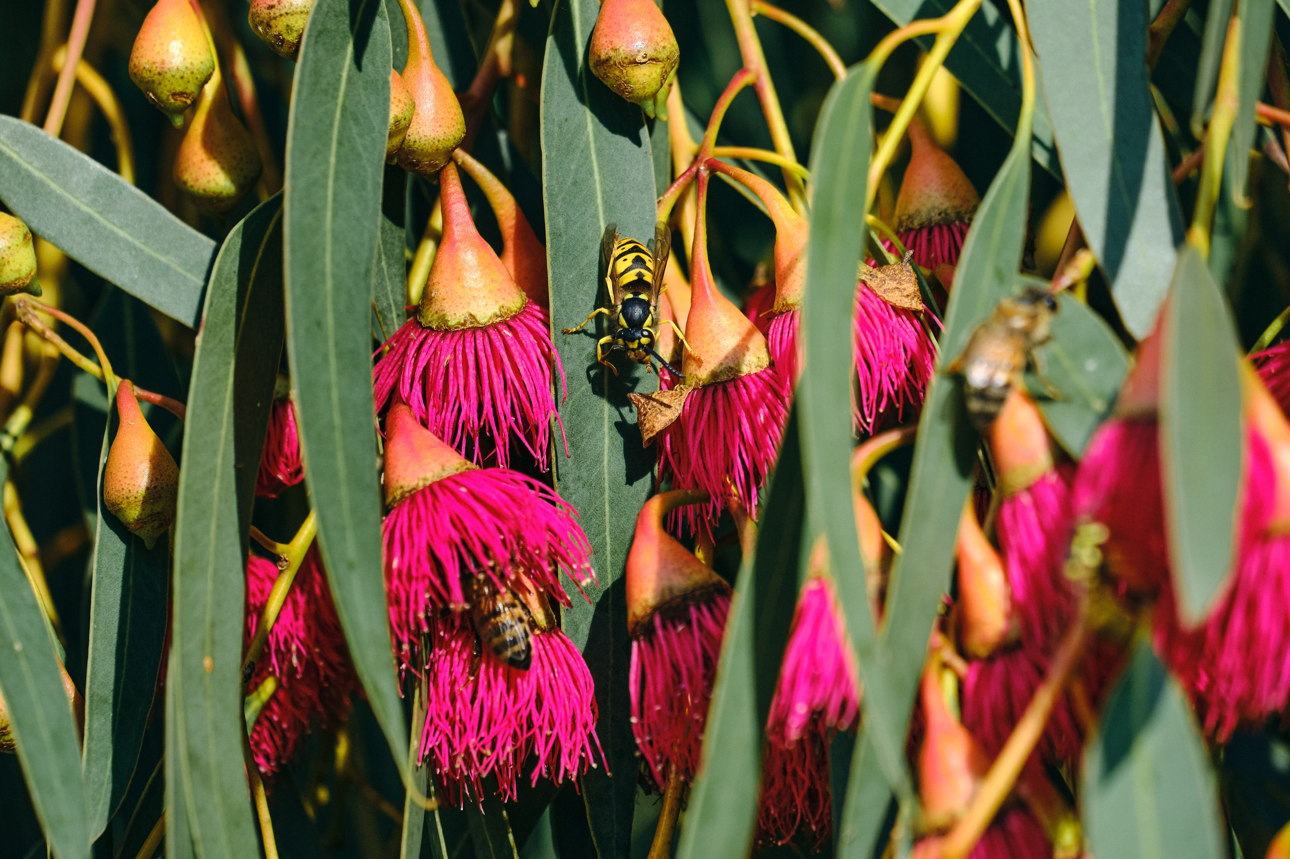 Cyprus / 2023. Aleksandr Kobtsev