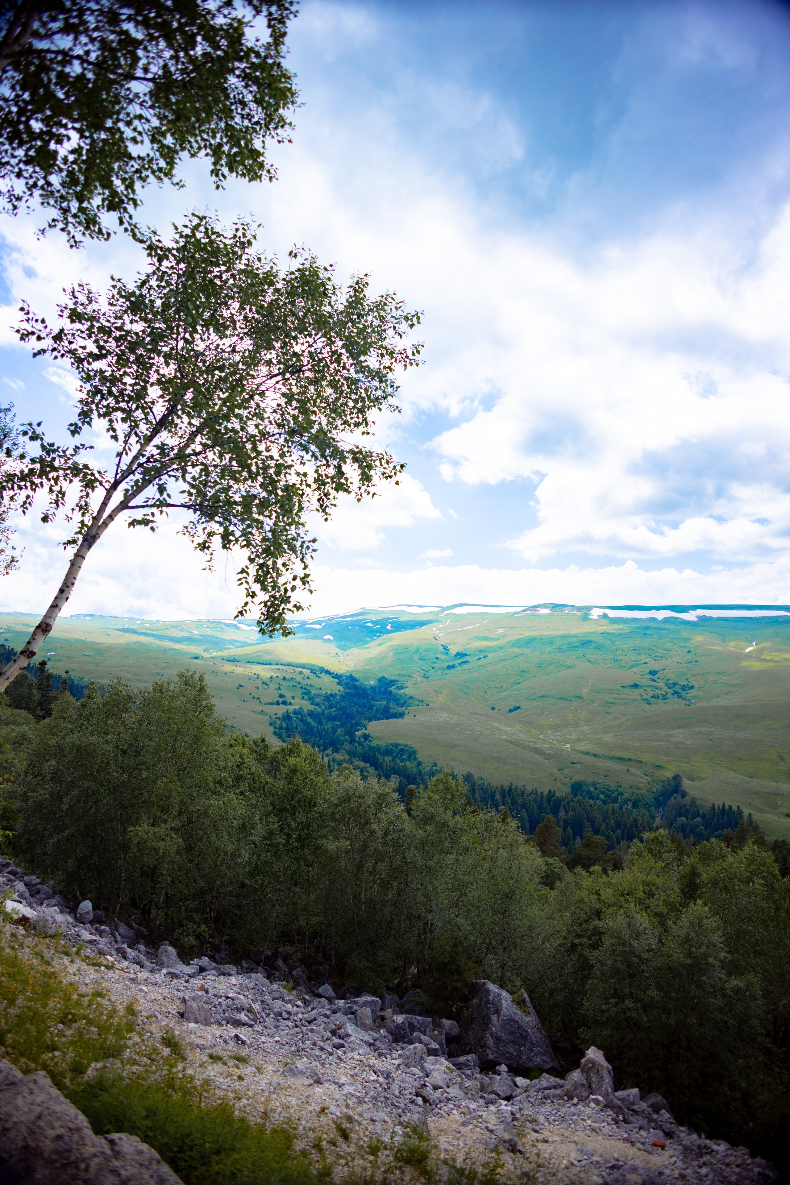 Осень. Профессиональный фотограф и видеооператор