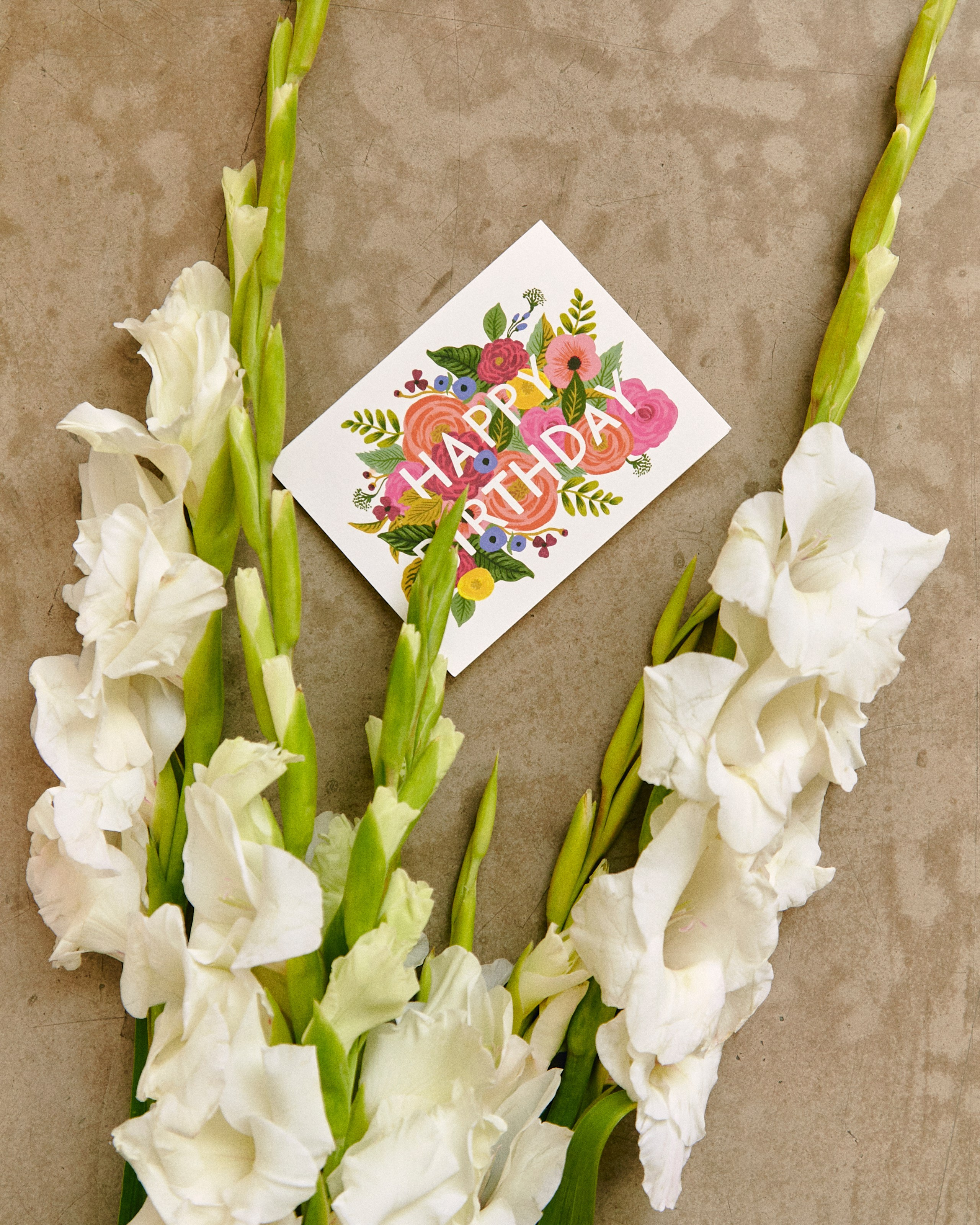 Paper YVN. Egor Plakhotin Photography