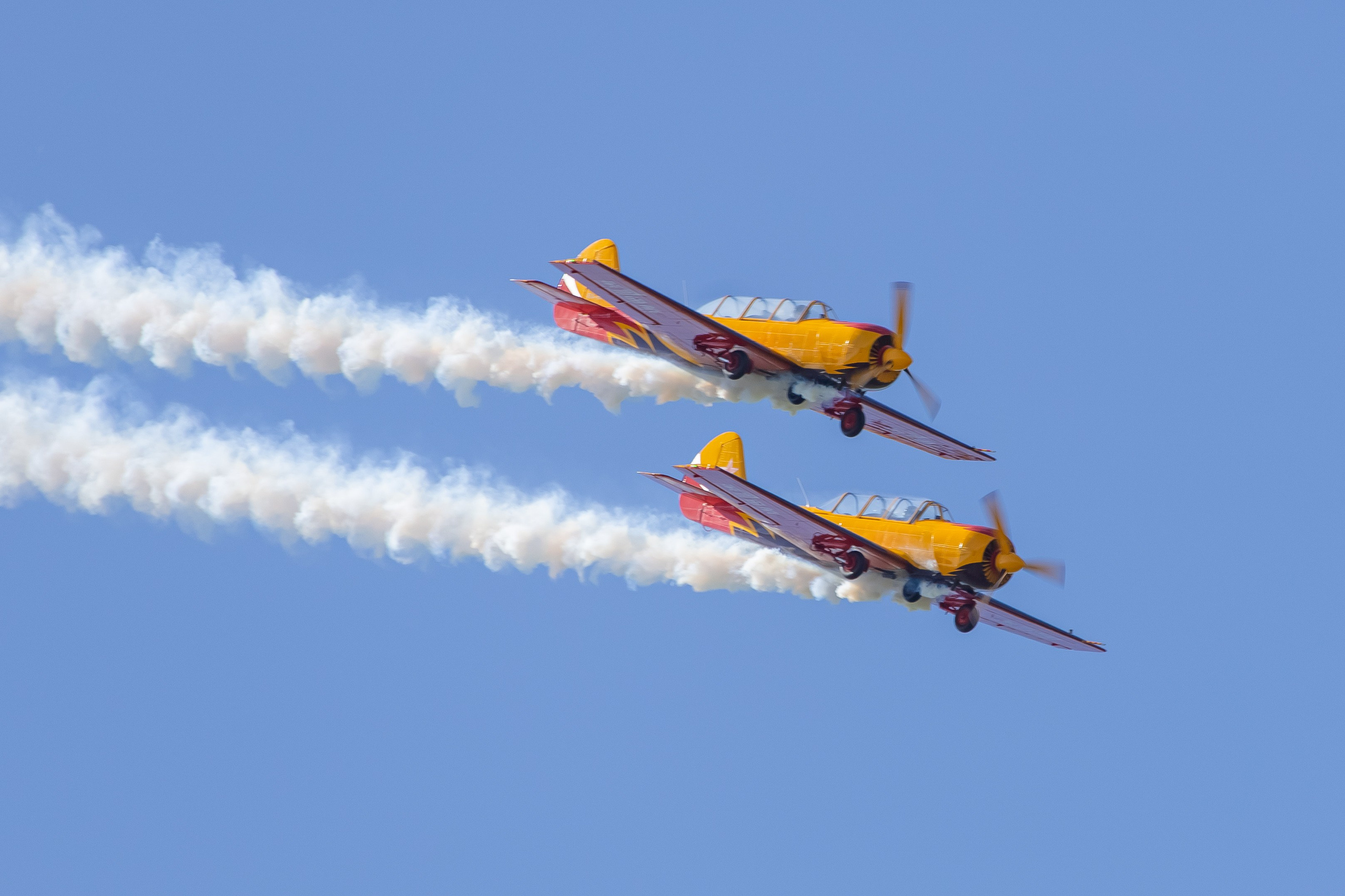 Крылья Пармы 2025 г. KATERINA VINOKUROVA ФОТОГРАФ ПЕРМЬ