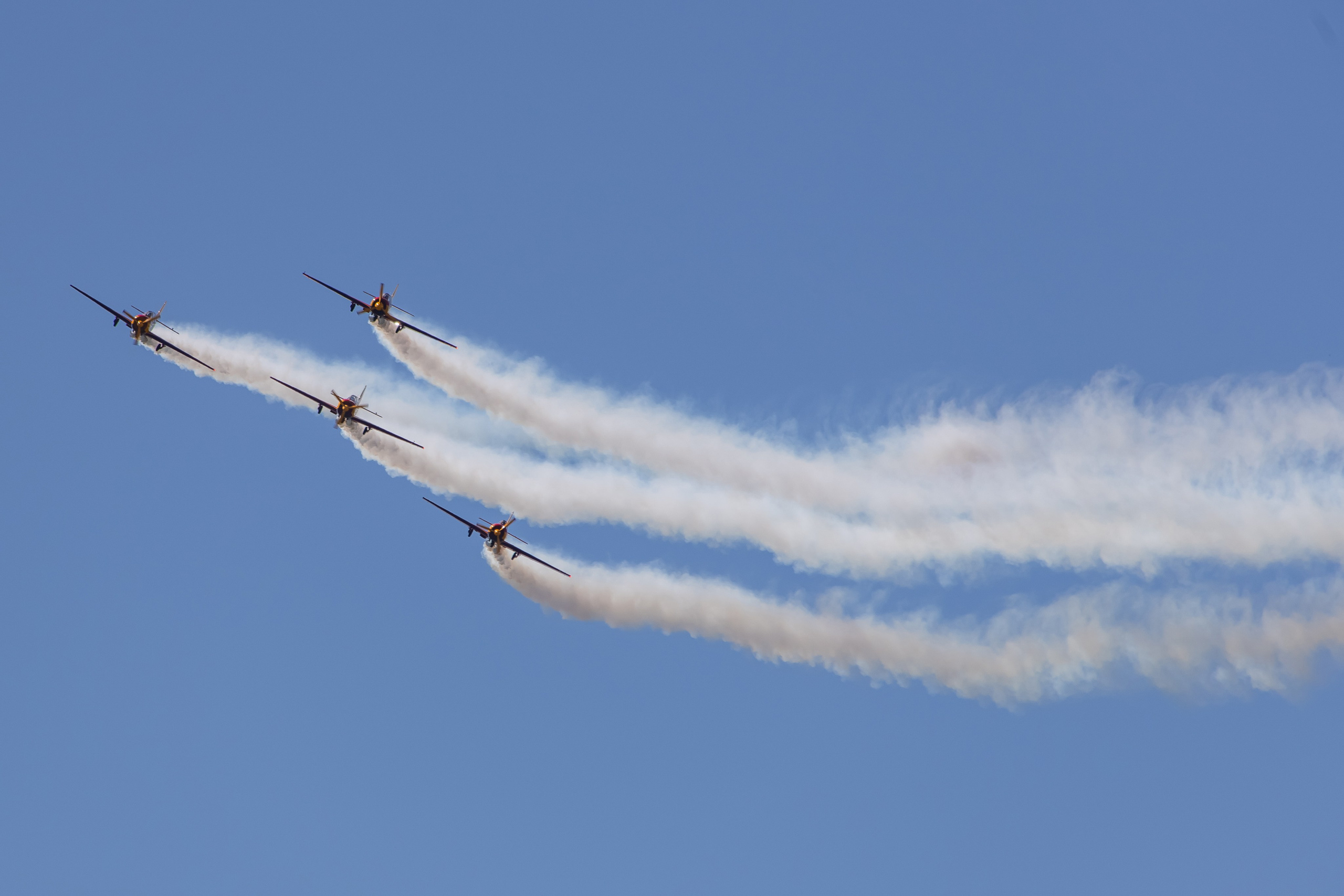 Крылья Пармы 2025 г. KATERINA VINOKUROVA ФОТОГРАФ ПЕРМЬ