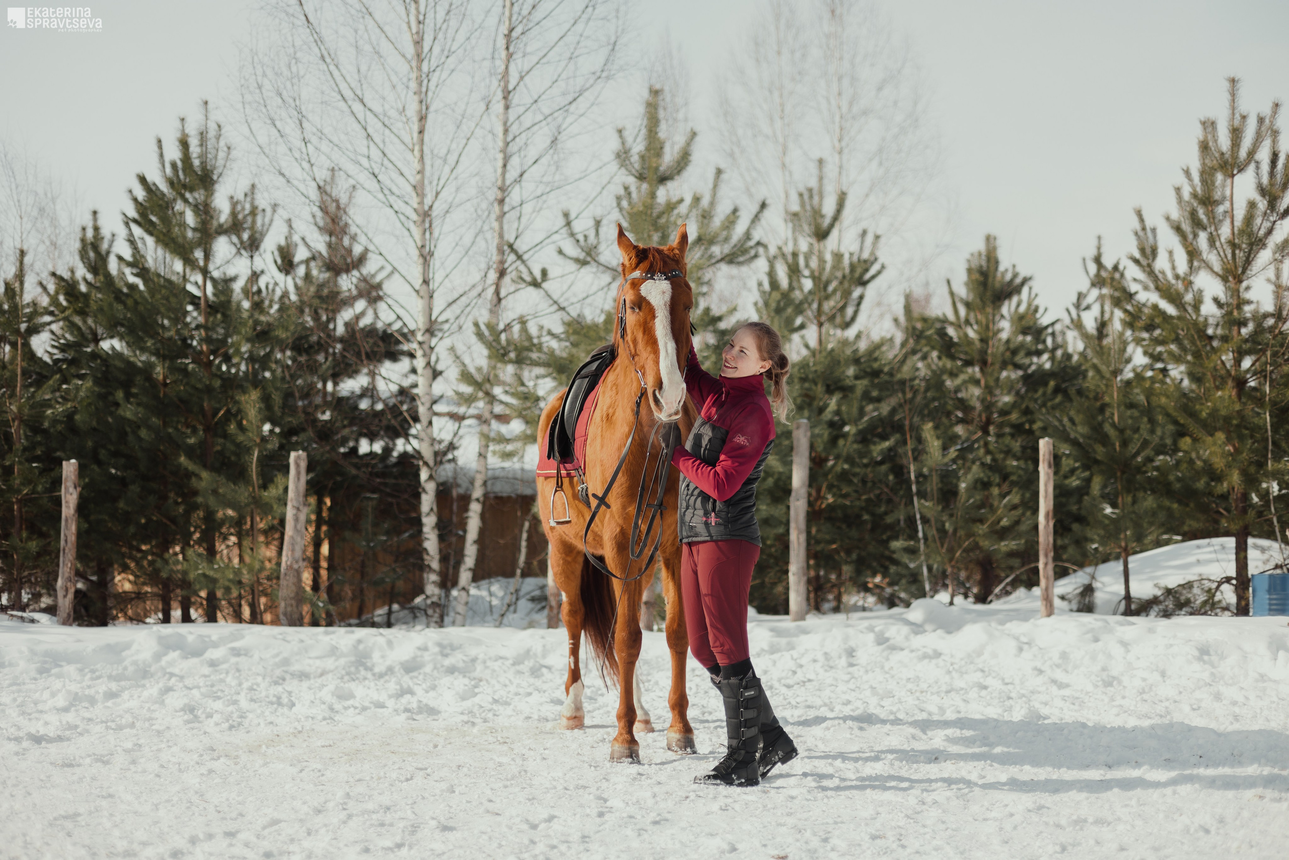 Среди грив и копыт. Фотограф Анималист Екатерина Справцева в Нижнем Новгороде
