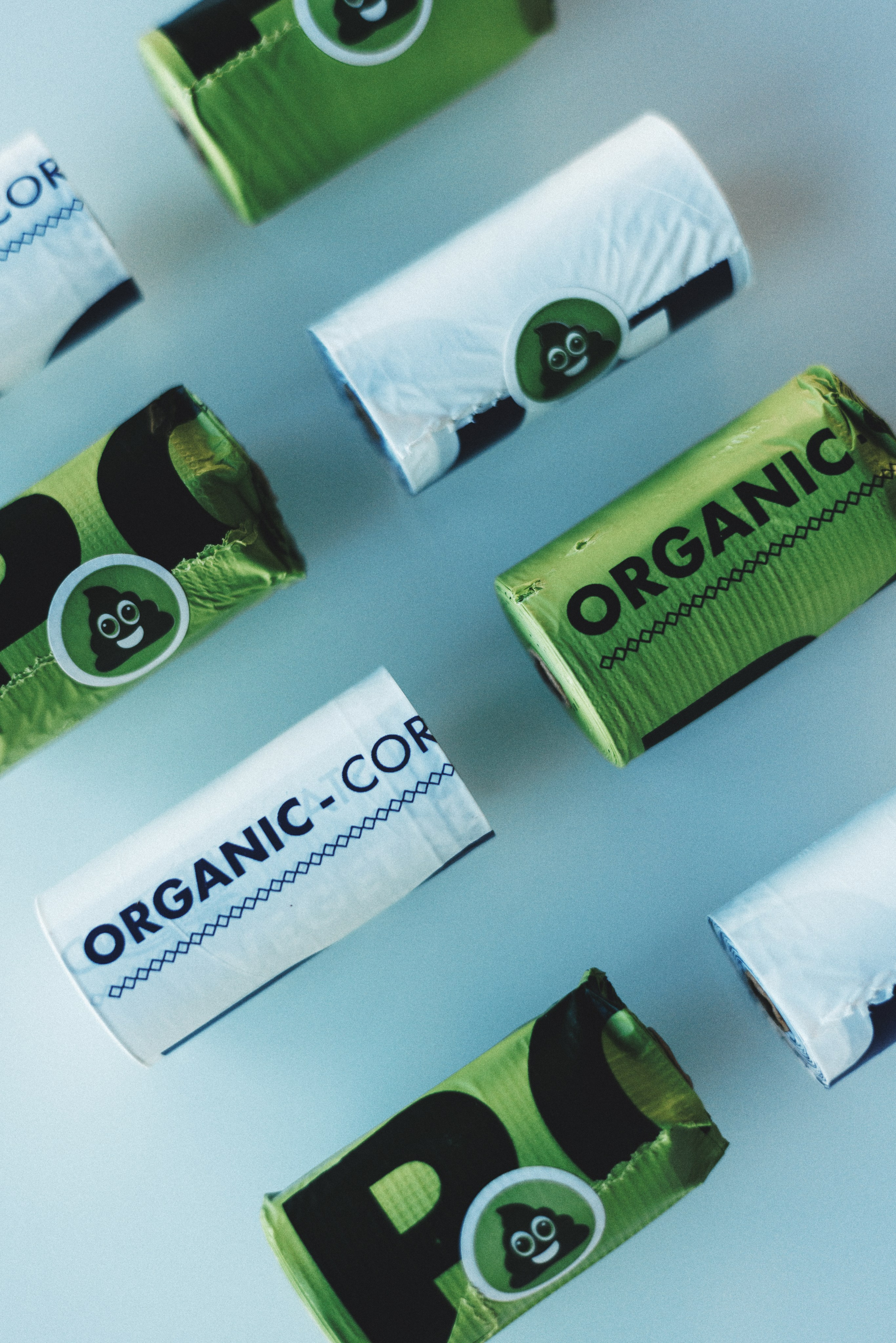 M-Pets. Фотограф анималист Осипчикова Мария