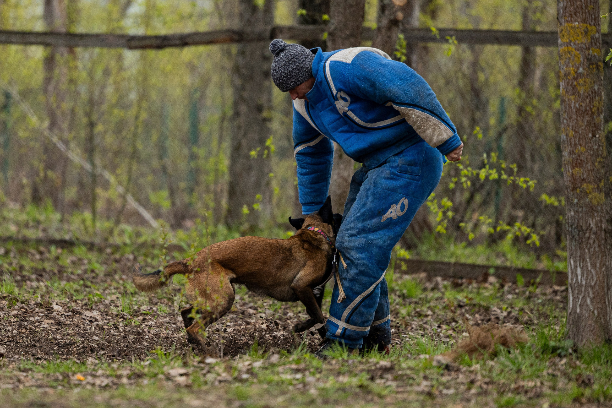 Квалификационные состязания по мондьорингу г. Вологда 11.05.24. Фотограф-анималист Анна Маринич