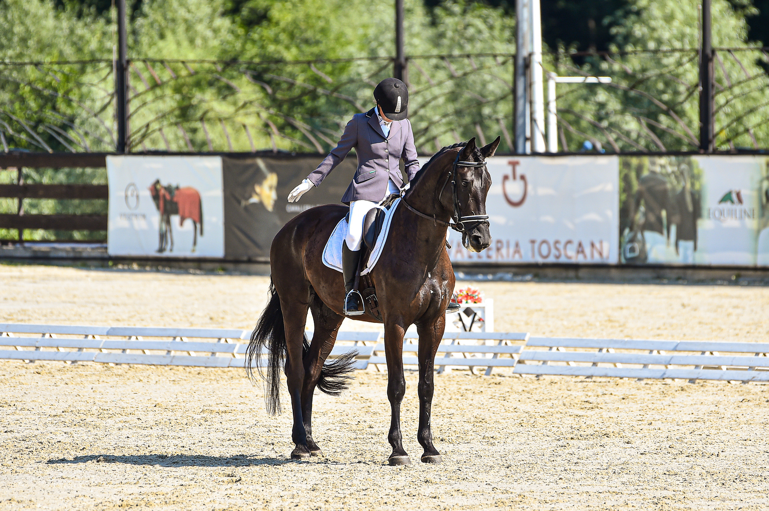 Отзывы. ТУРНИРНАЯ КОННАЯ ФОТОГРАФИЯ, Руднева Ольга и Евгений Адеев