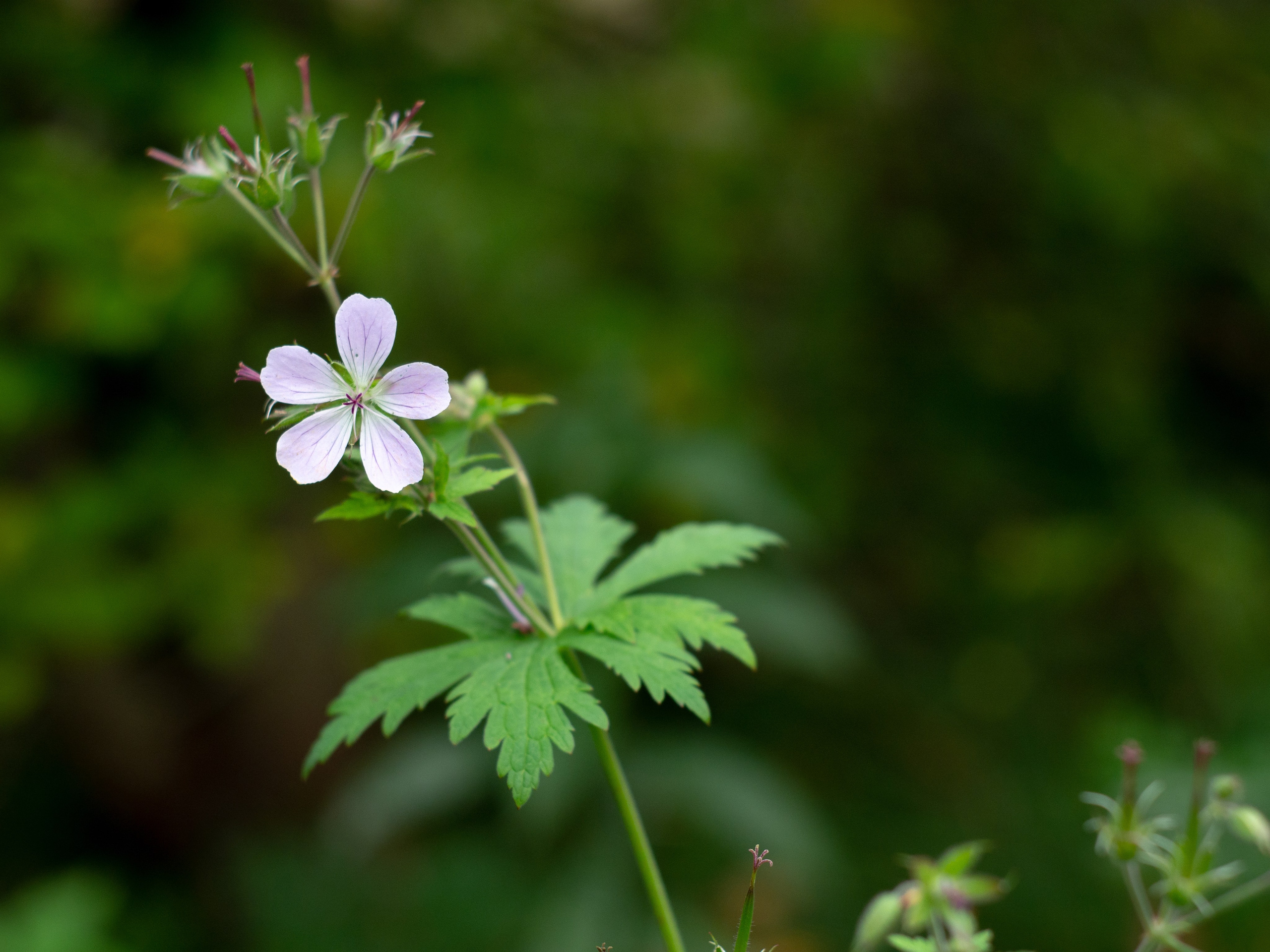 20230923-25 Родники. Дмитрий Ремизов. Фотография, как хобби