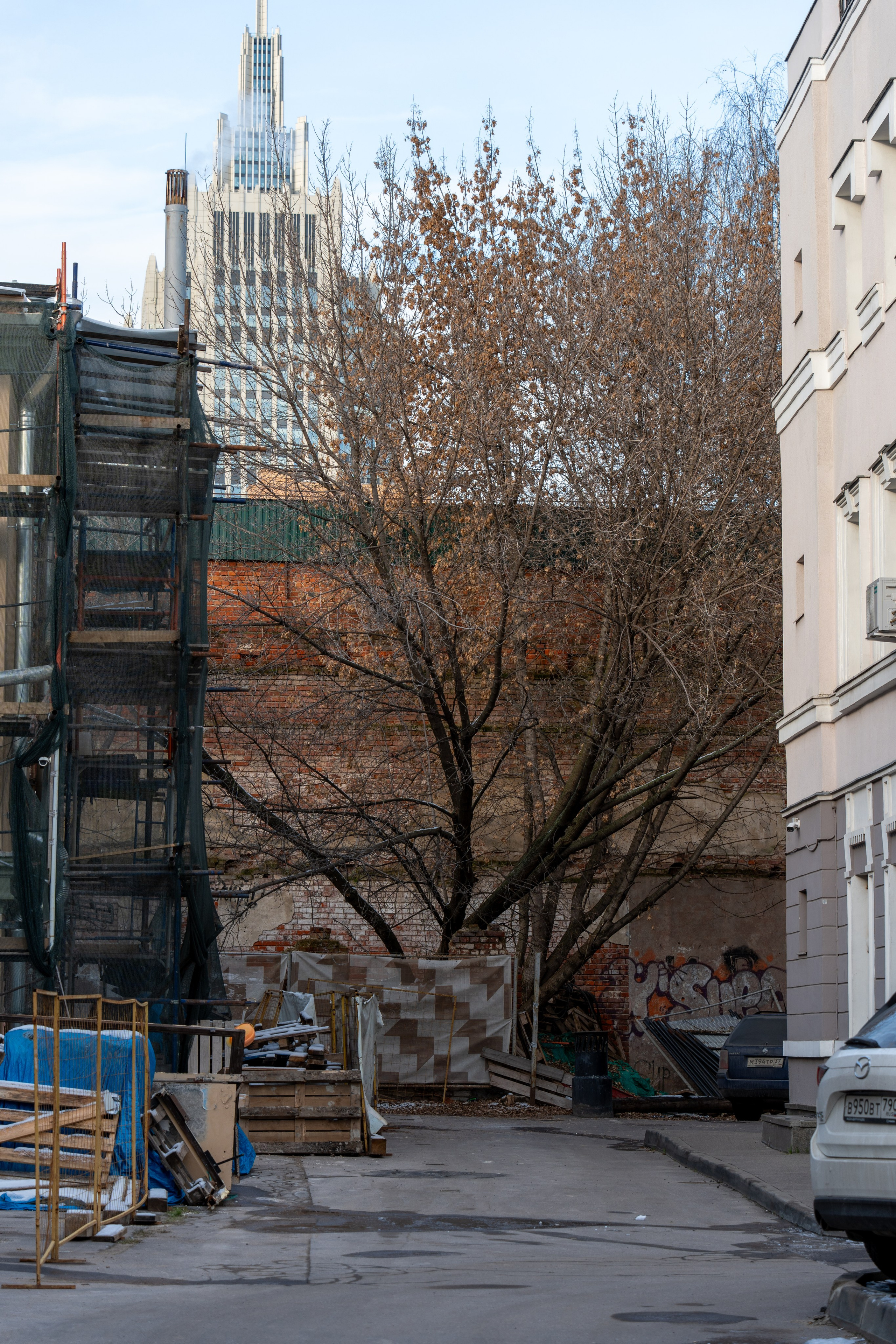 20251116 Арбатская-Чистые пруды. Дмитрий Ремизов. Фотография, как хобби